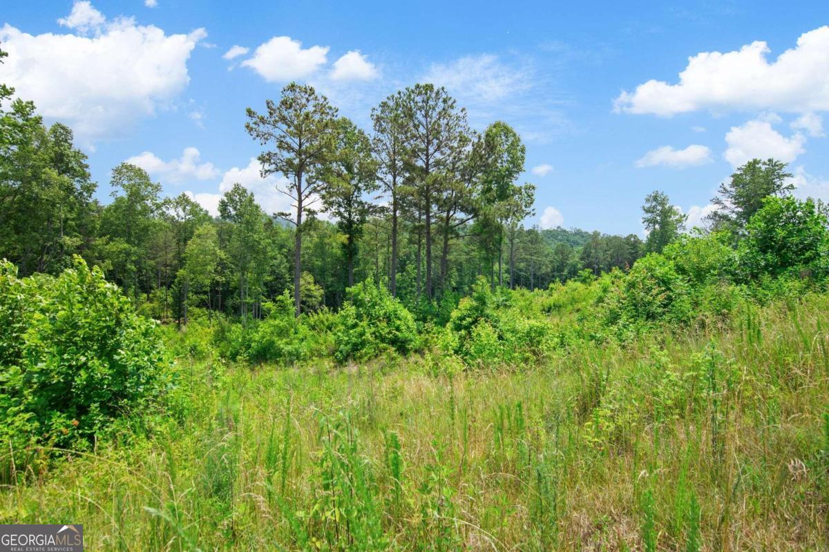 Lot 196 Oak Park Drive Property Photo 6