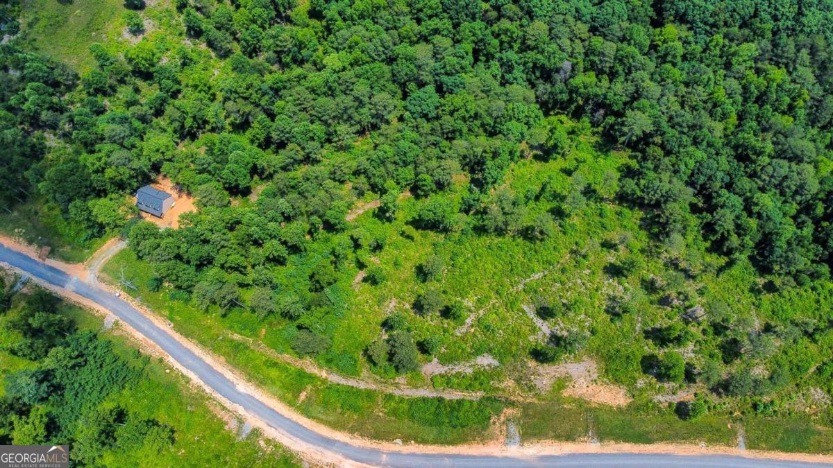 Lot 196 Oak Park Drive Property Photo 7