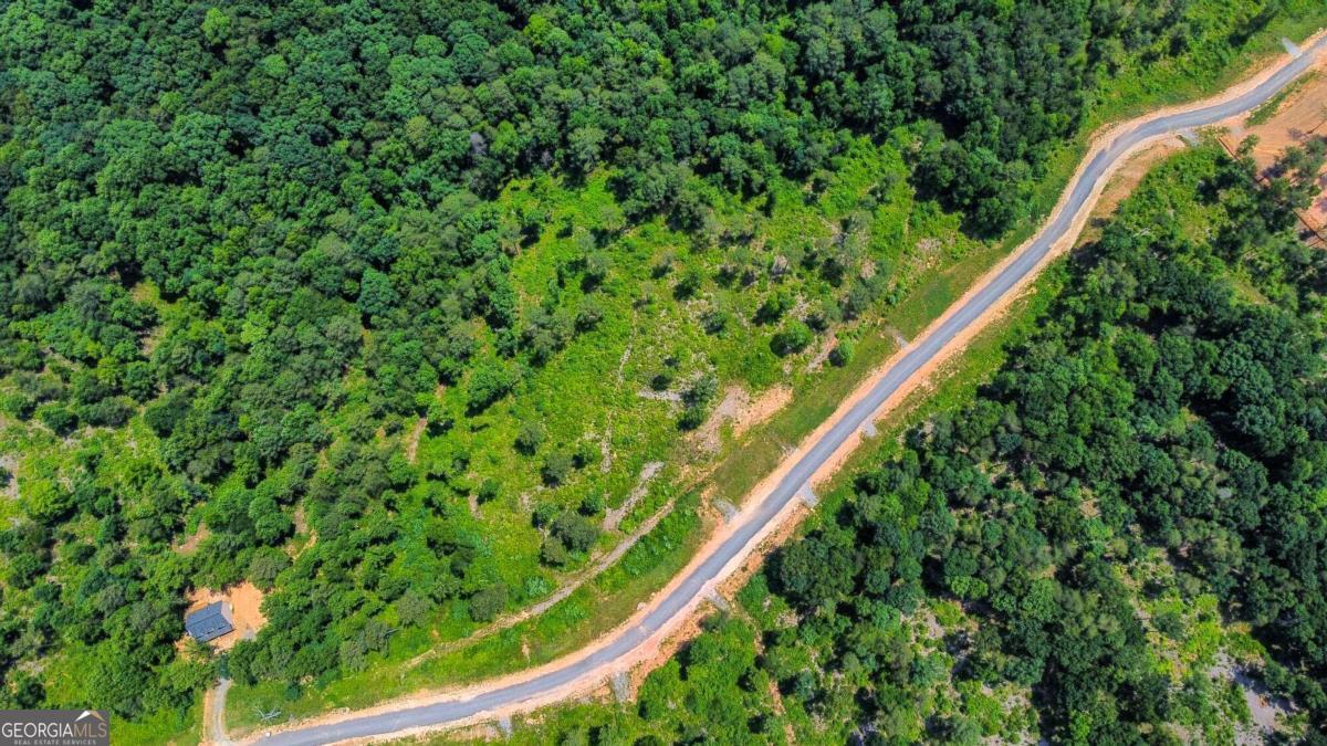 Lot 196 Oak Park Drive Property Photo 10