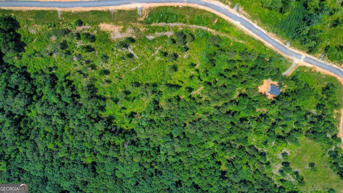 Lot 196 Oak Park Drive Property Photo 12