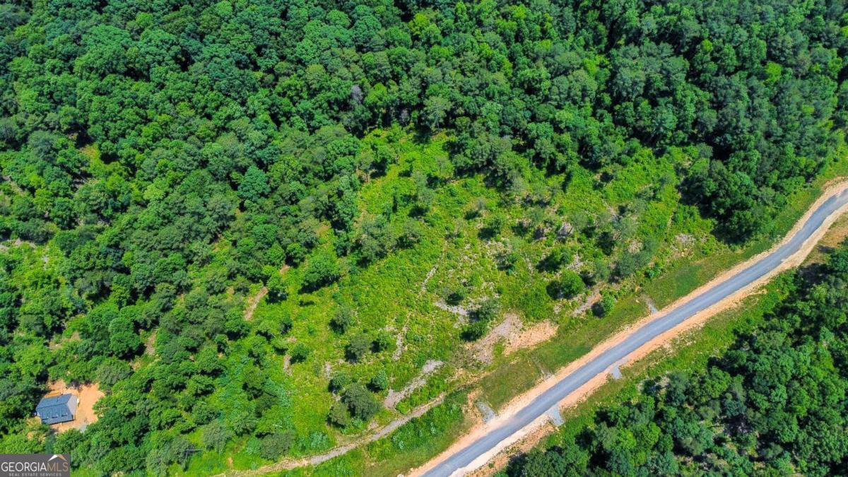 Lot 196 Oak Park Drive Property Photo 13