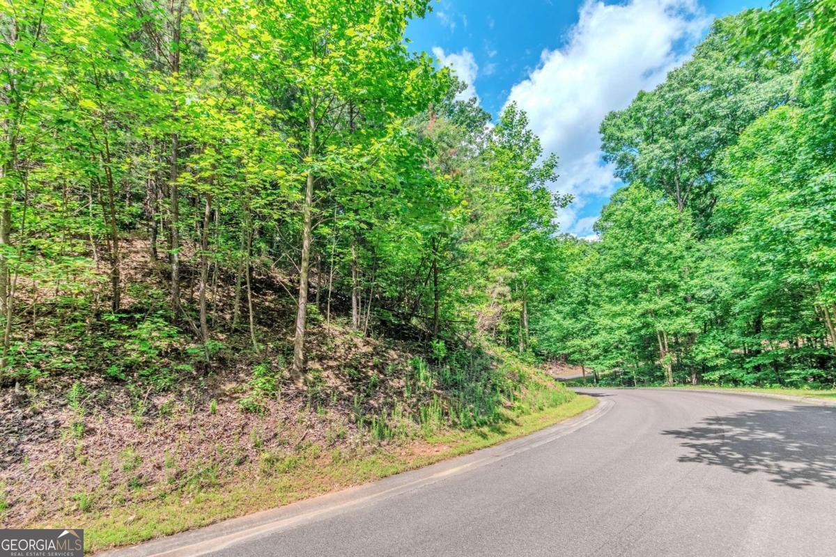 LOT 36 Abbott Mill Road # 36