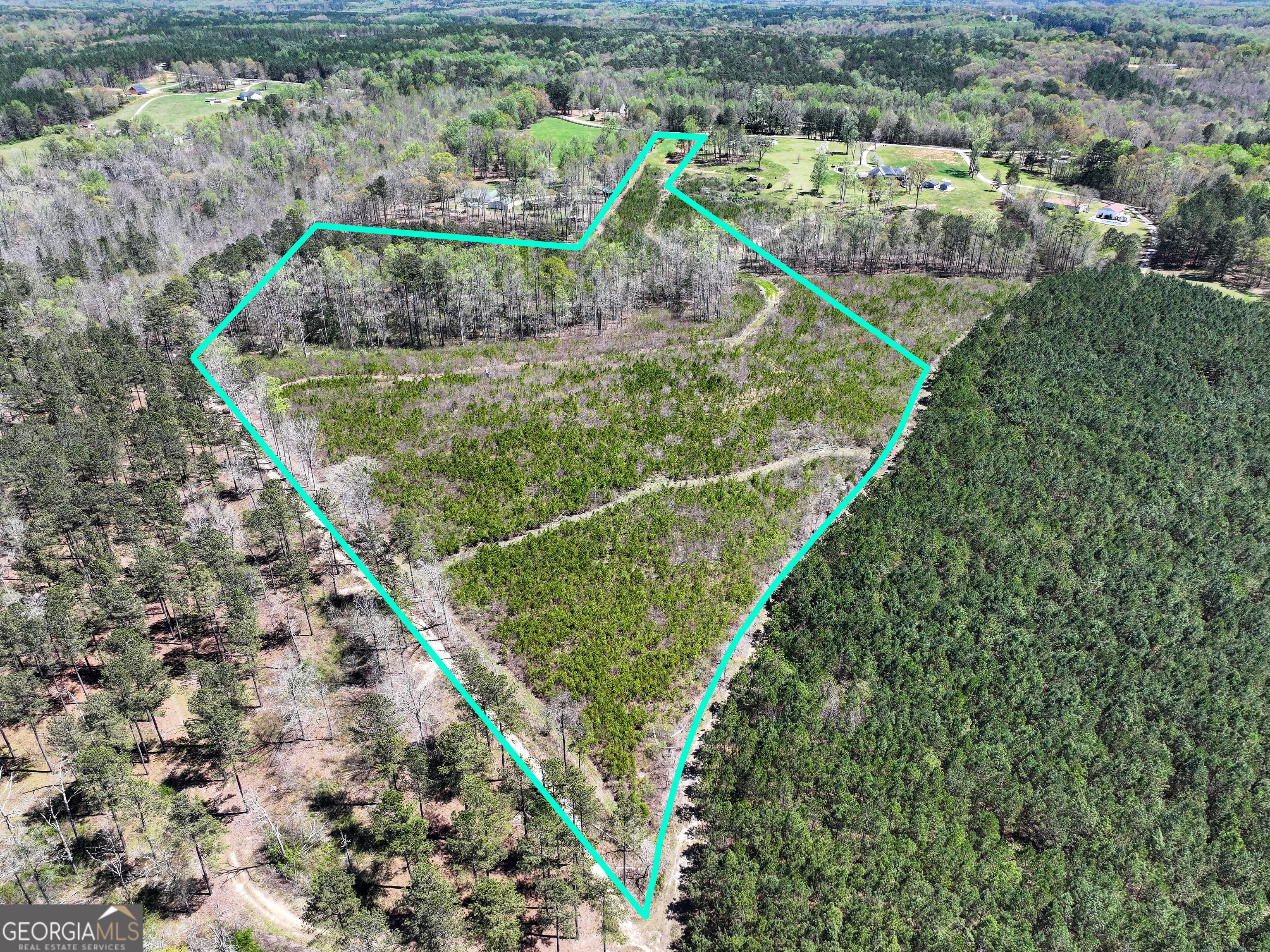 0 Bremen Mt Zion Road Property Photo