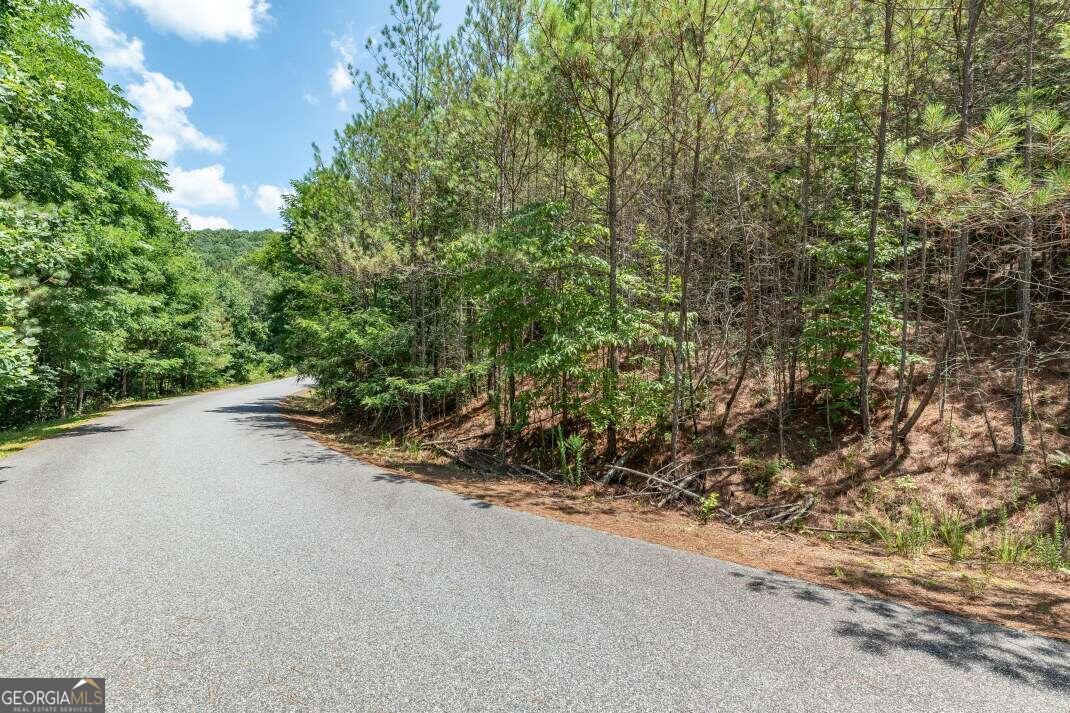 Lot 20 Pinehurst Property Photo 1