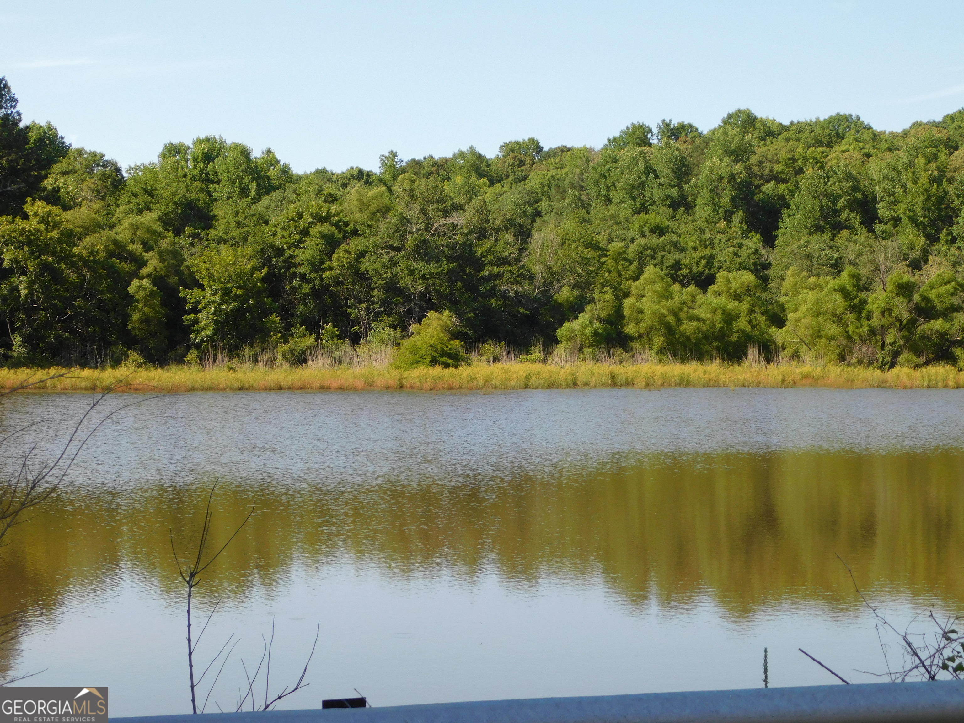 1230 County Rd 446 Property Photo 23