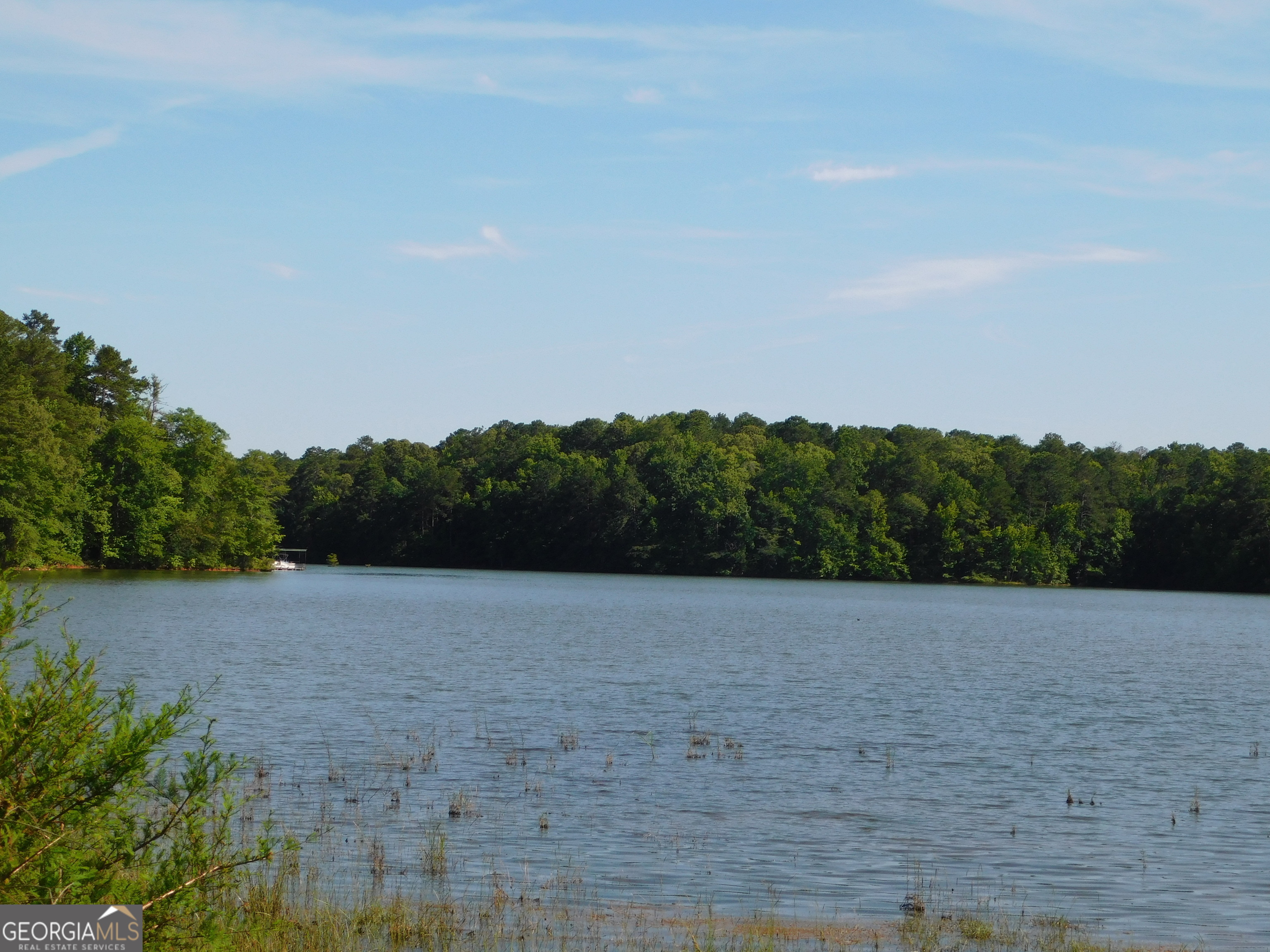 1230 County Rd 446 Property Photo 25