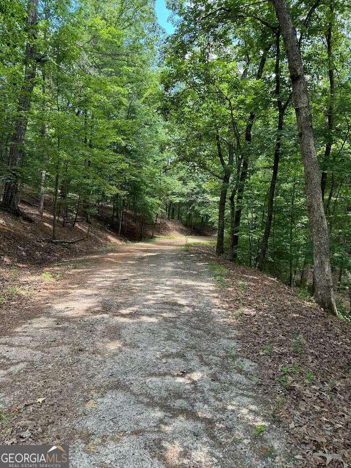484 Star Lake Lane Property Photo 1