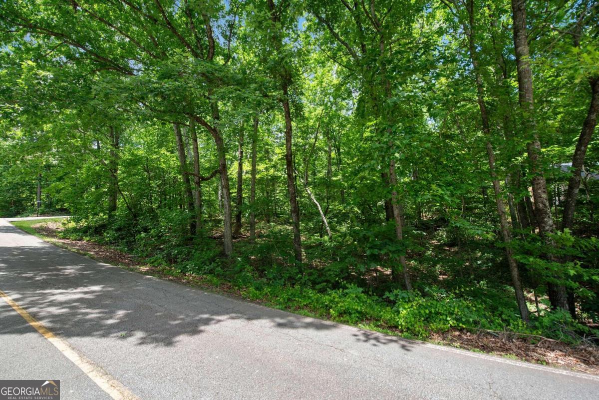 2025 Lakeview Parkway Property Photo 4