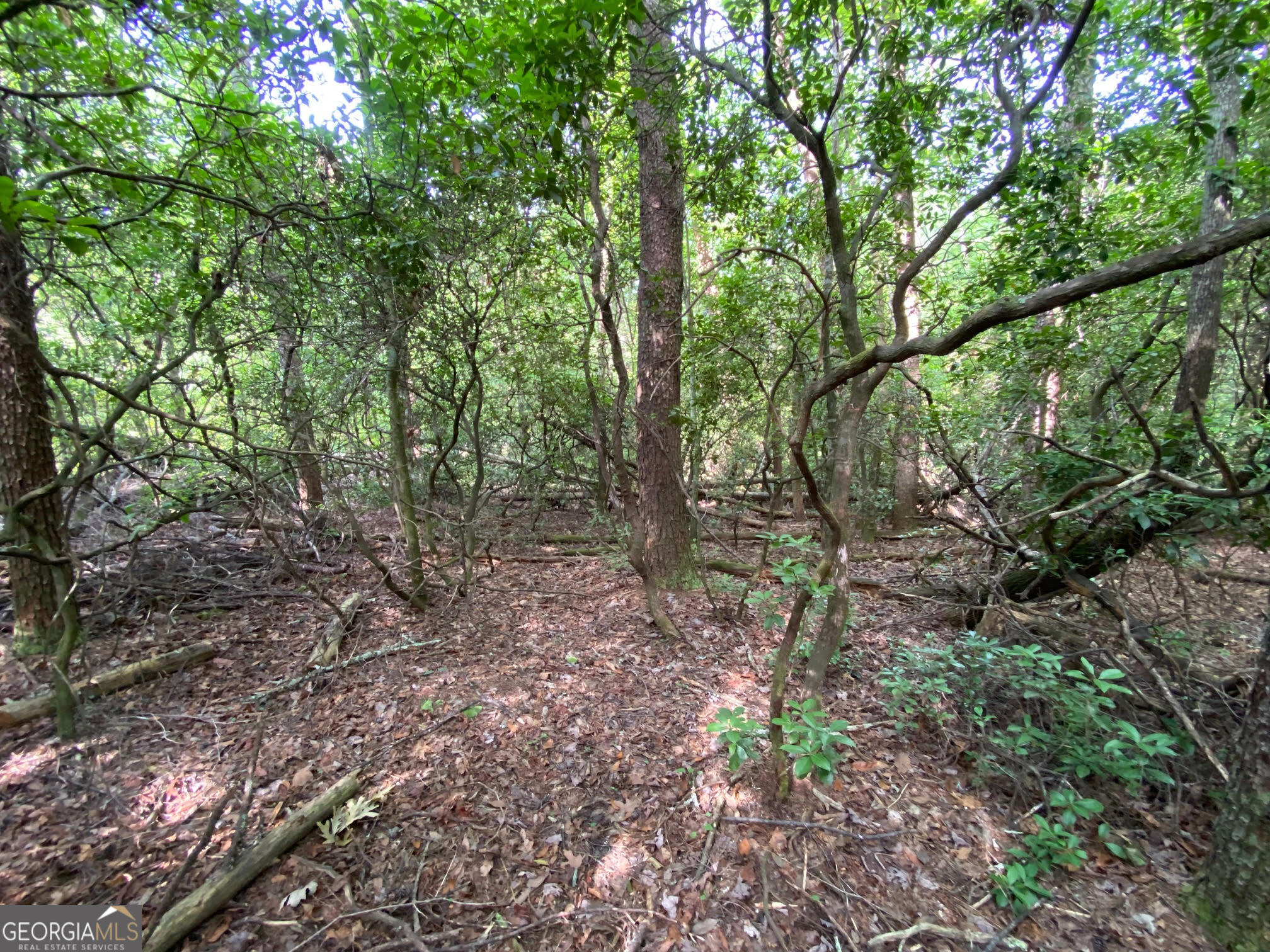 0 Sara Lane Lot 6 Property Photo 3