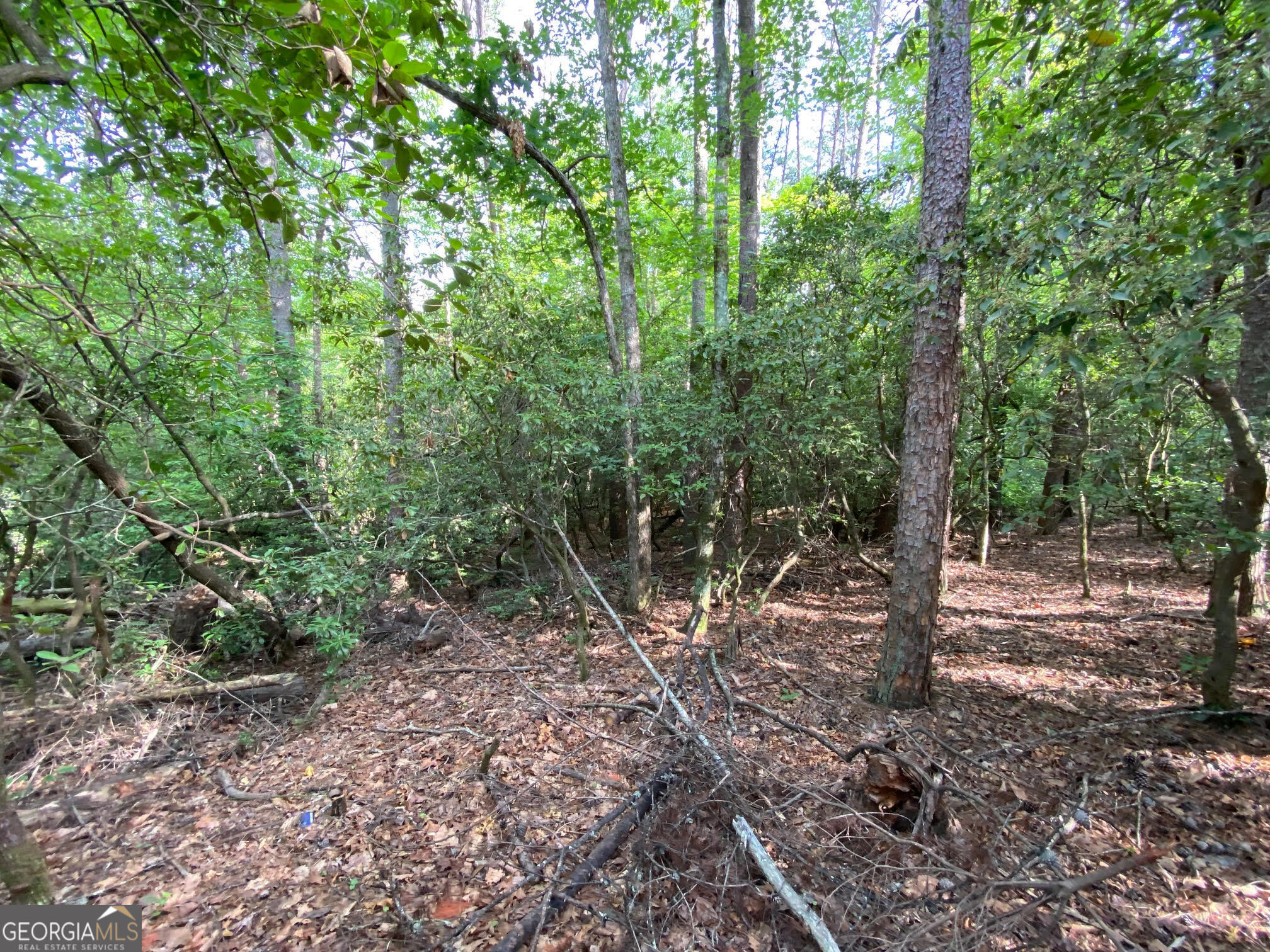 0 Sara Lane Lot 6 Property Photo 4