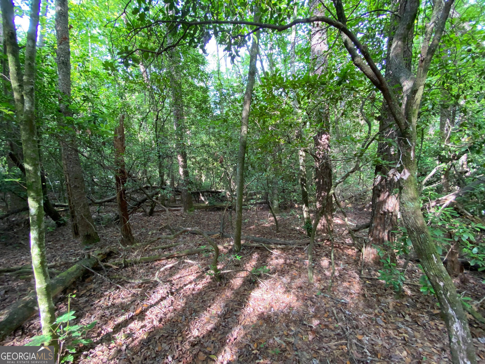 0 Sara Lane Lot 6 Property Photo 5
