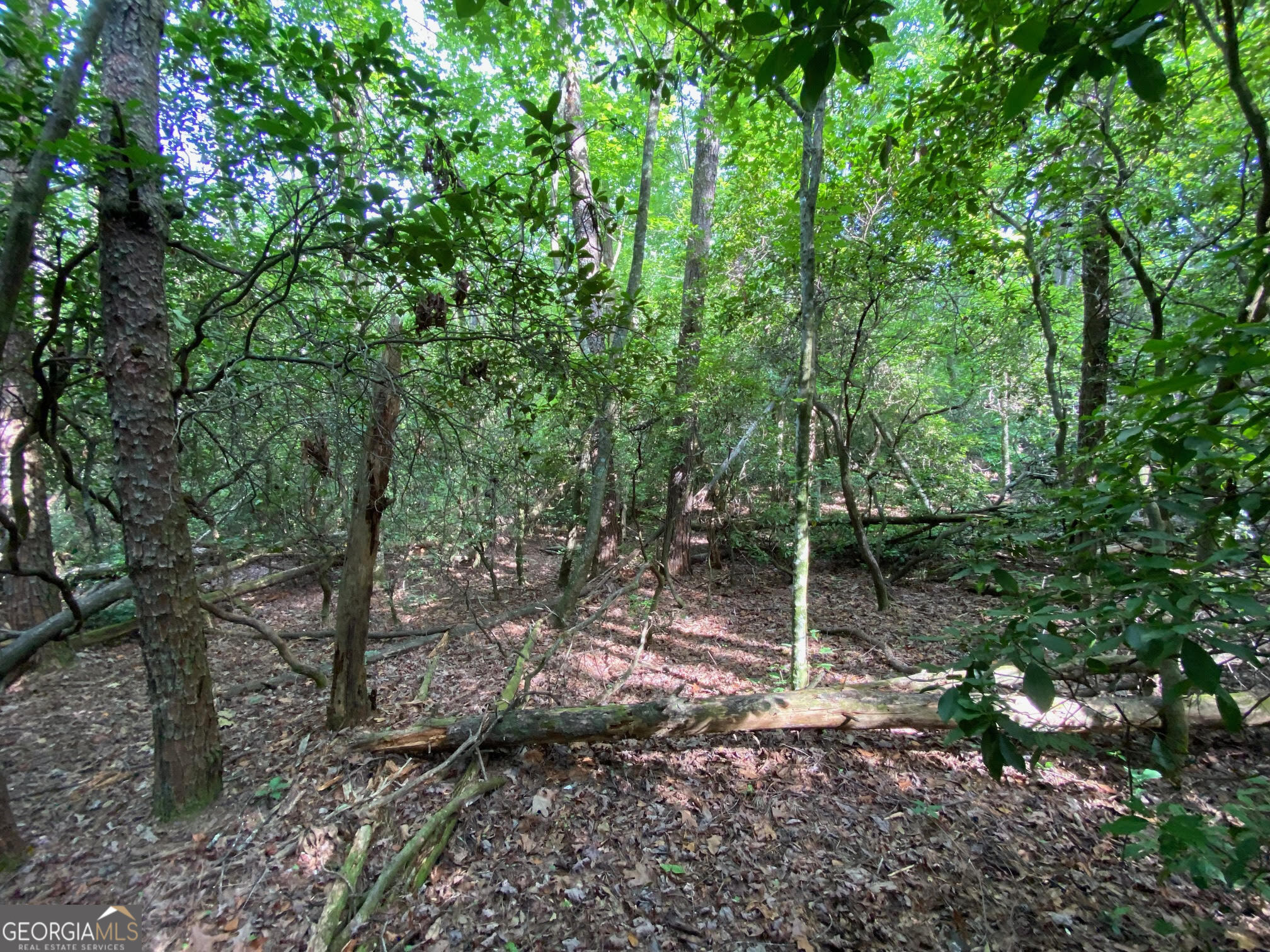 0 Sara Lane Lot 6 Property Photo 6