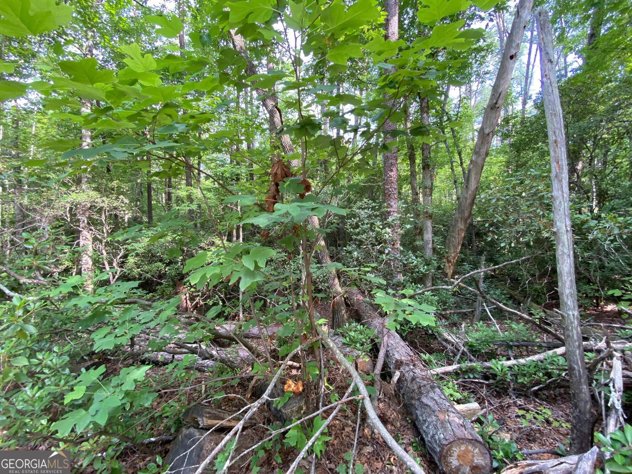 0 Sara Lane Lot 6 Property Photo 7