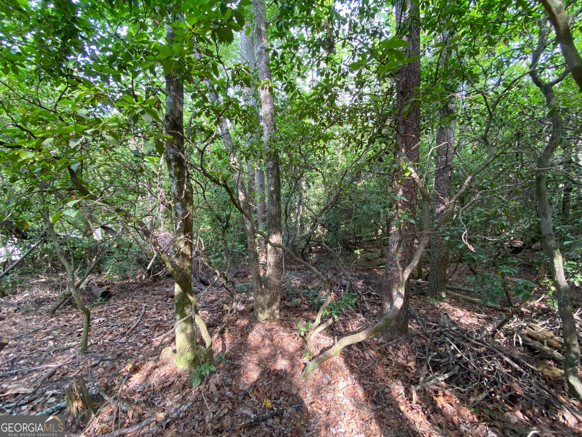 0 Sara Lane Lot 6 Property Photo 8