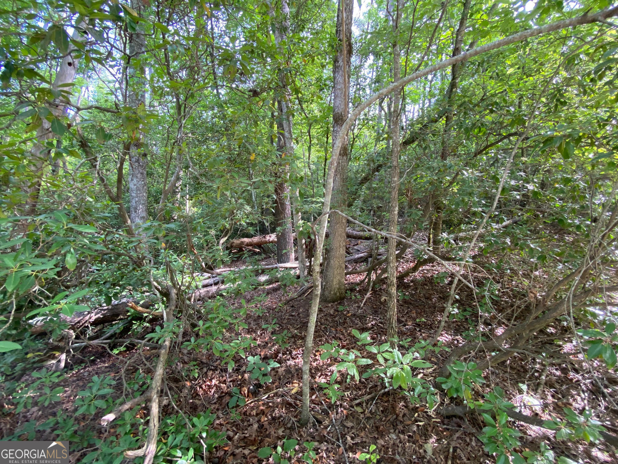 0 Sara Lane Lot 6 Property Photo 9