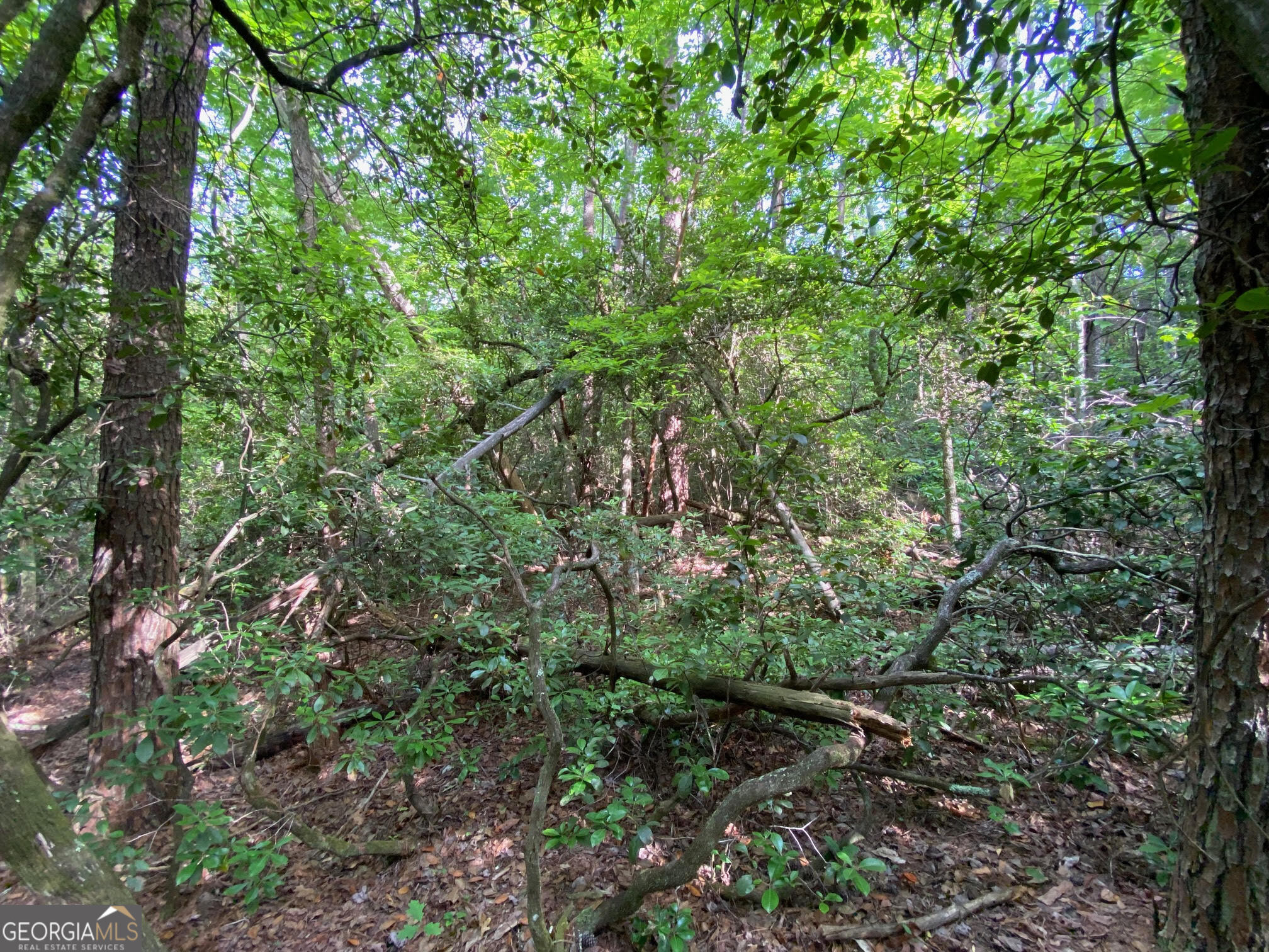 0 Sara Lane Lot 6 Property Photo 10