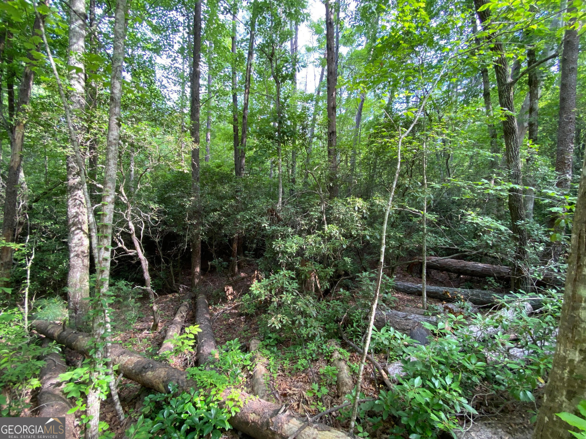 0 Sara Lane Lot 6 Property Photo 11
