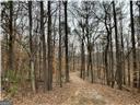 3355 Smithtown Road Property Photo 15