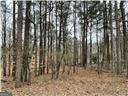 3355 Smithtown Road Property Photo 16
