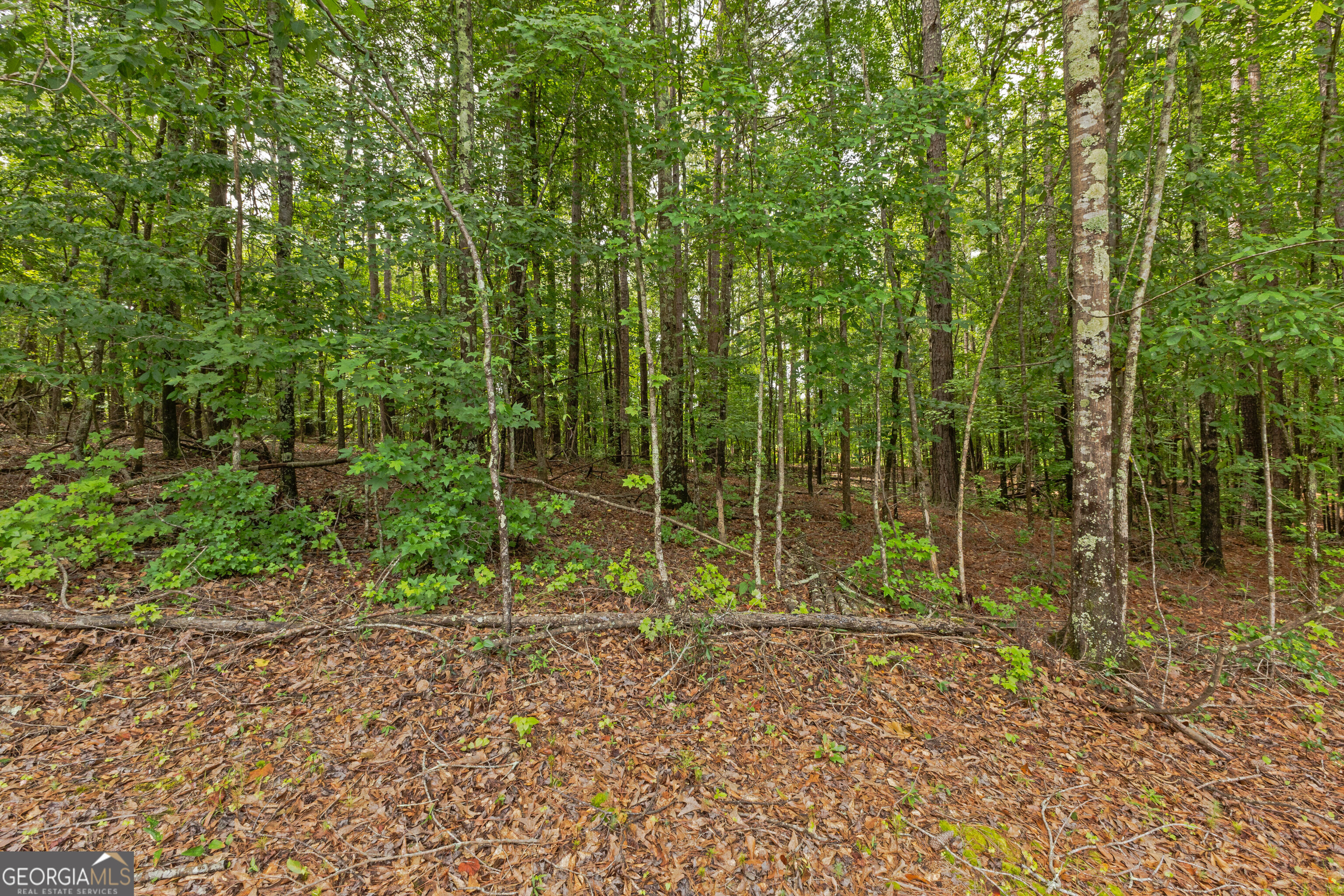 6425 Mixon Road Property Photo 51