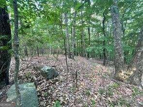 860 Cloudland Trace Property Photo 1