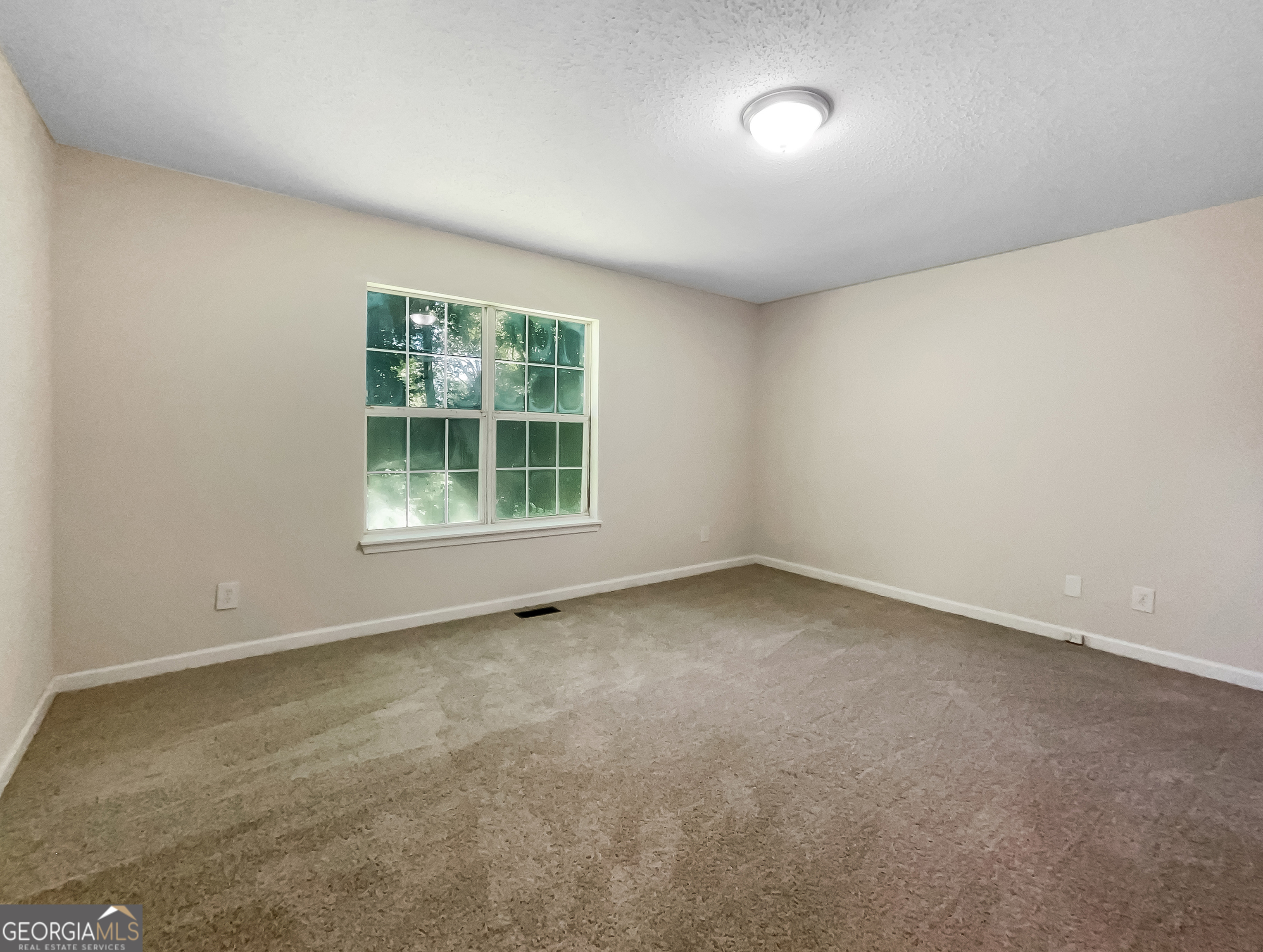 101 Dodd Street Property Photo 3