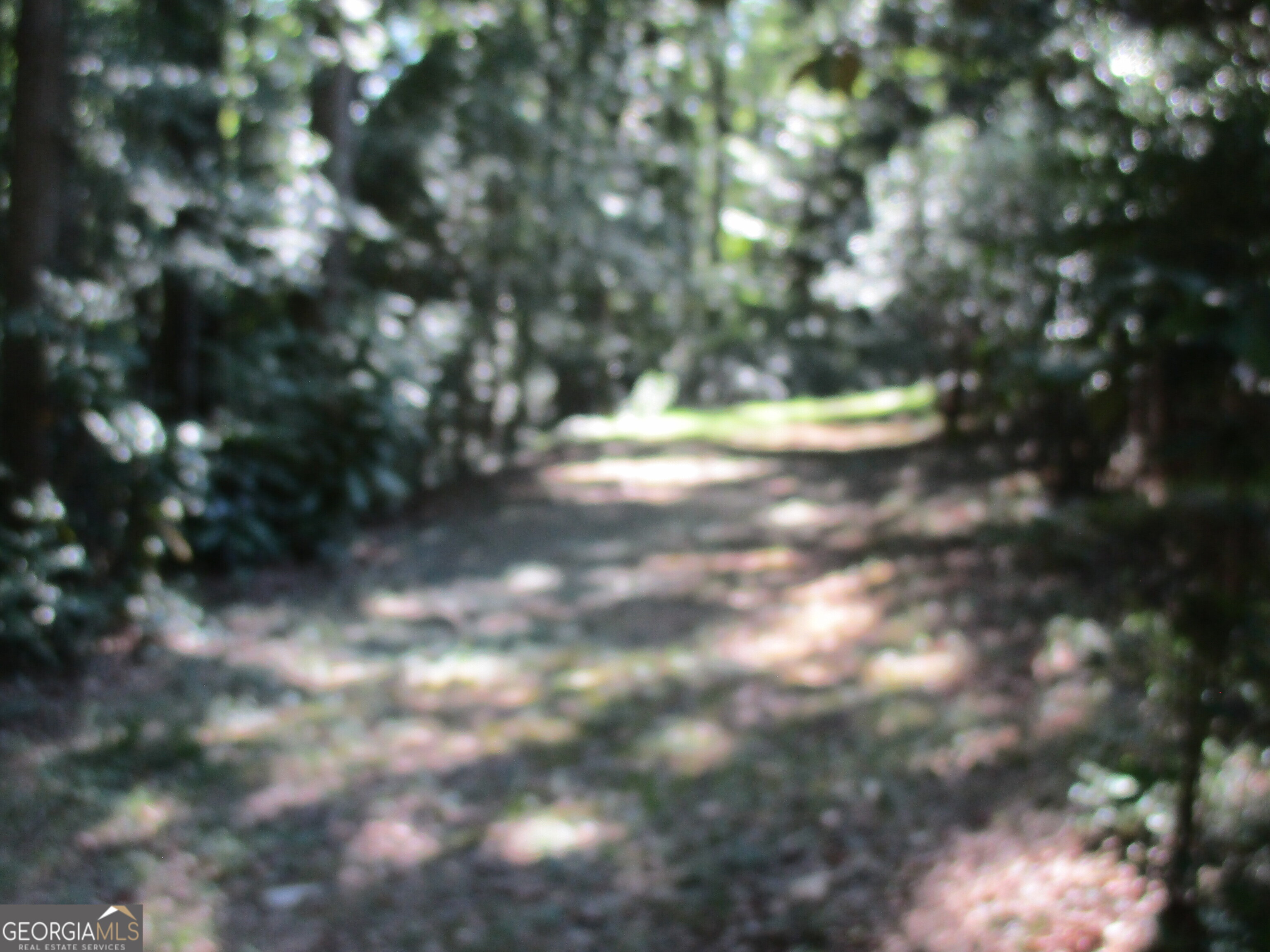 20352 Highway 441 S Property Photo 9