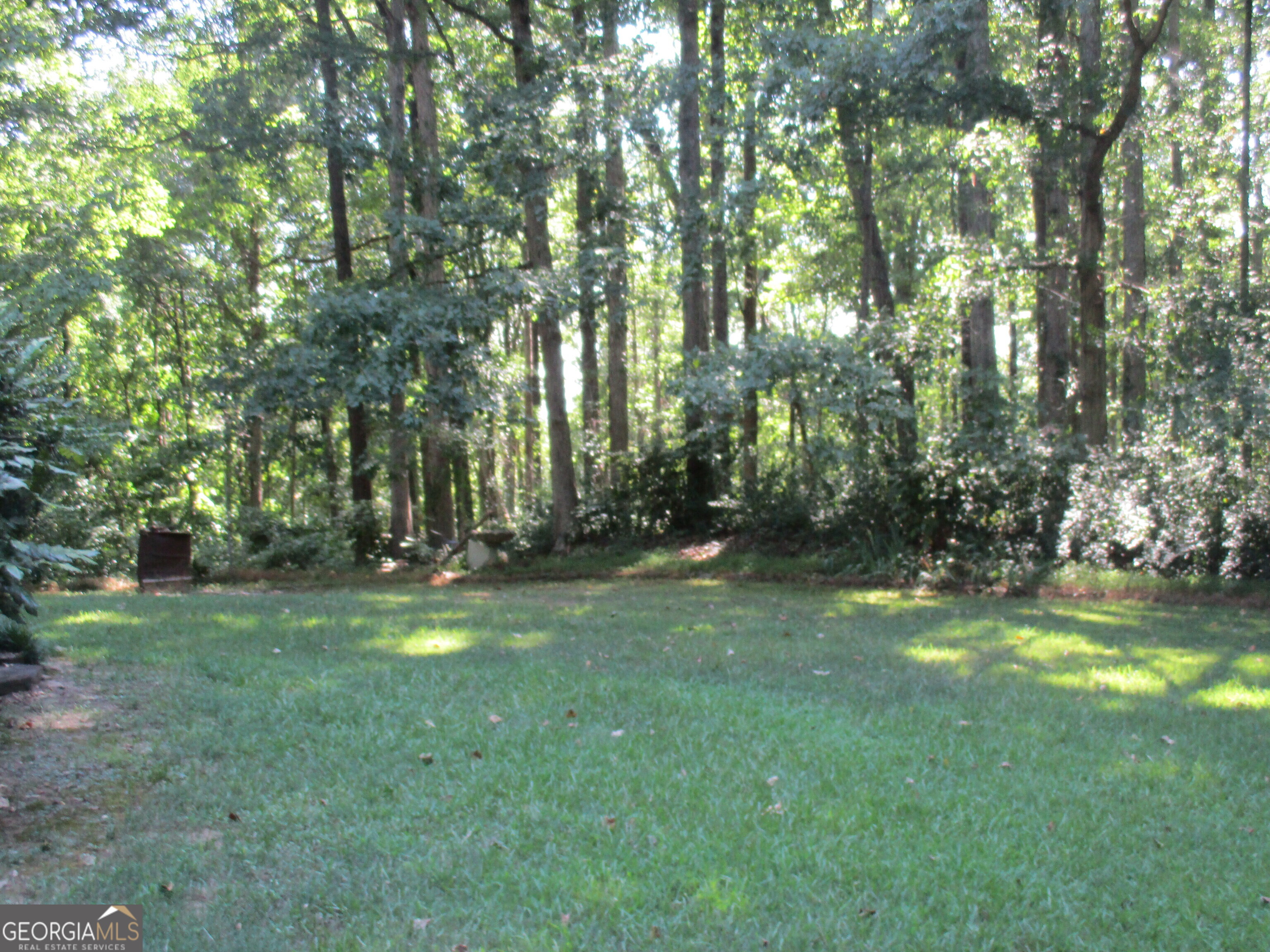 20352 Highway 441 S Property Photo 21