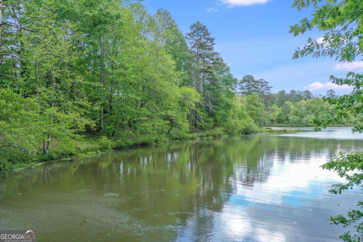 3012 Chattahoochee Trace Property Photo 12