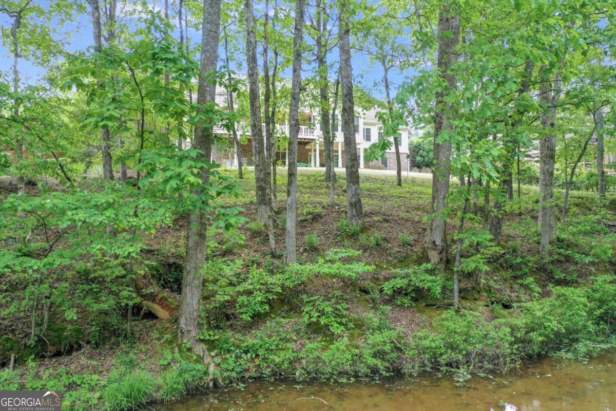 3012 Chattahoochee Trace Property Photo 13