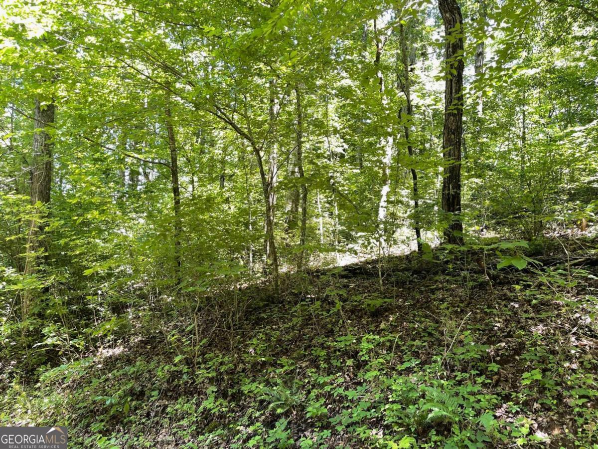 Lot 11 Fodder Creek Mill Drive Property Photo 1