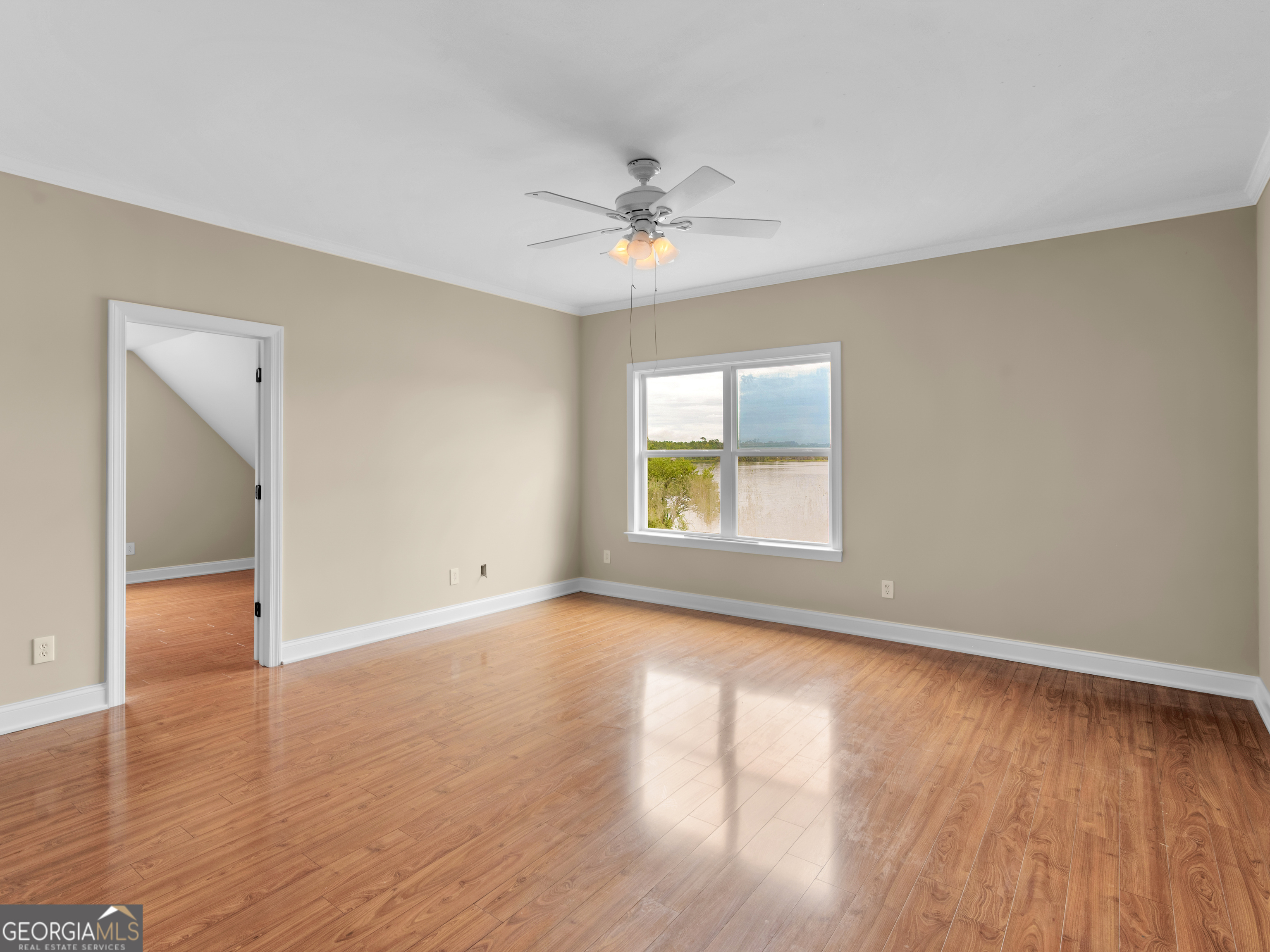 10766 Ga Highway 212 Property Photo 52