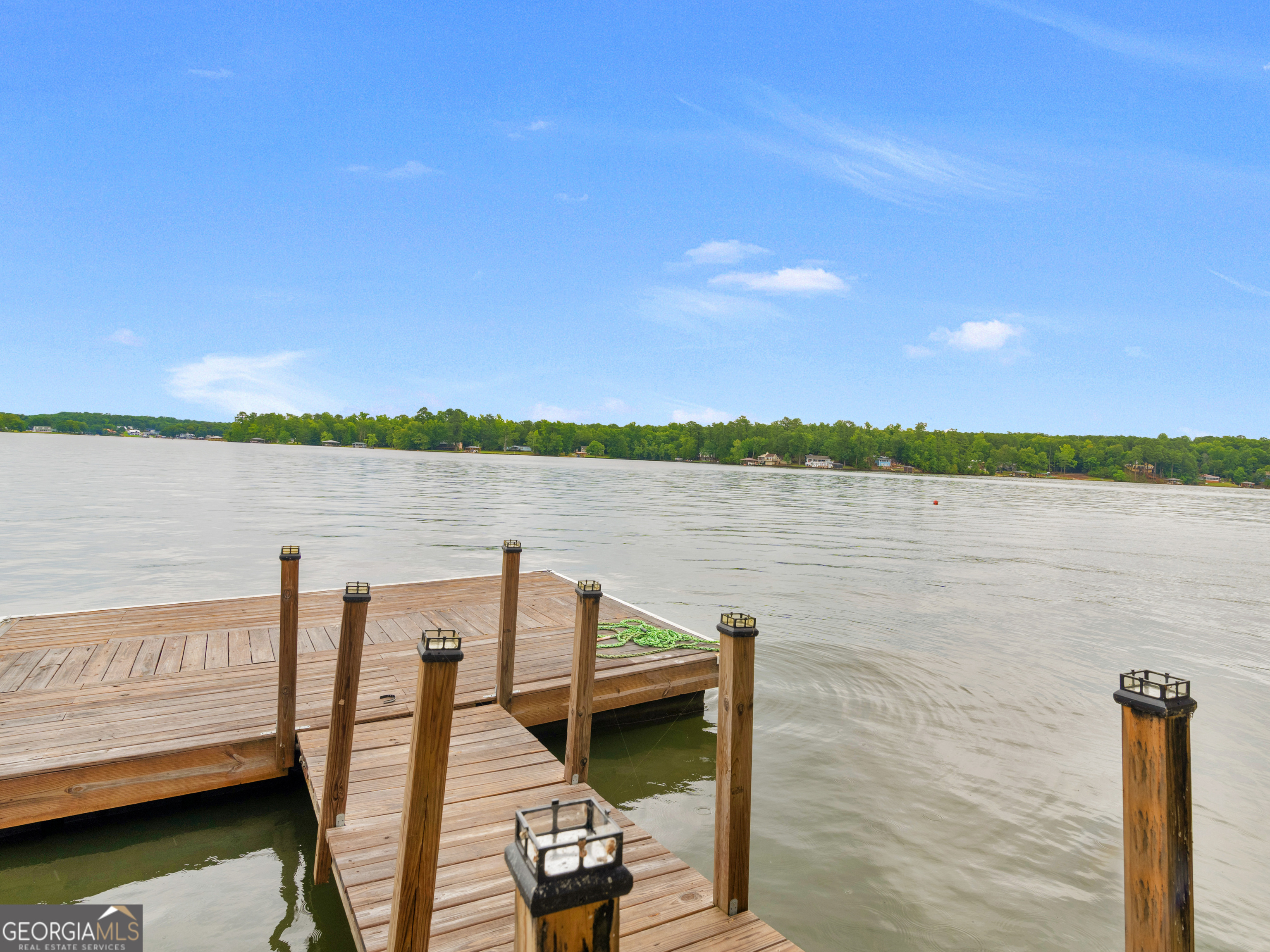 10766 Ga Highway 212 Property Photo 101