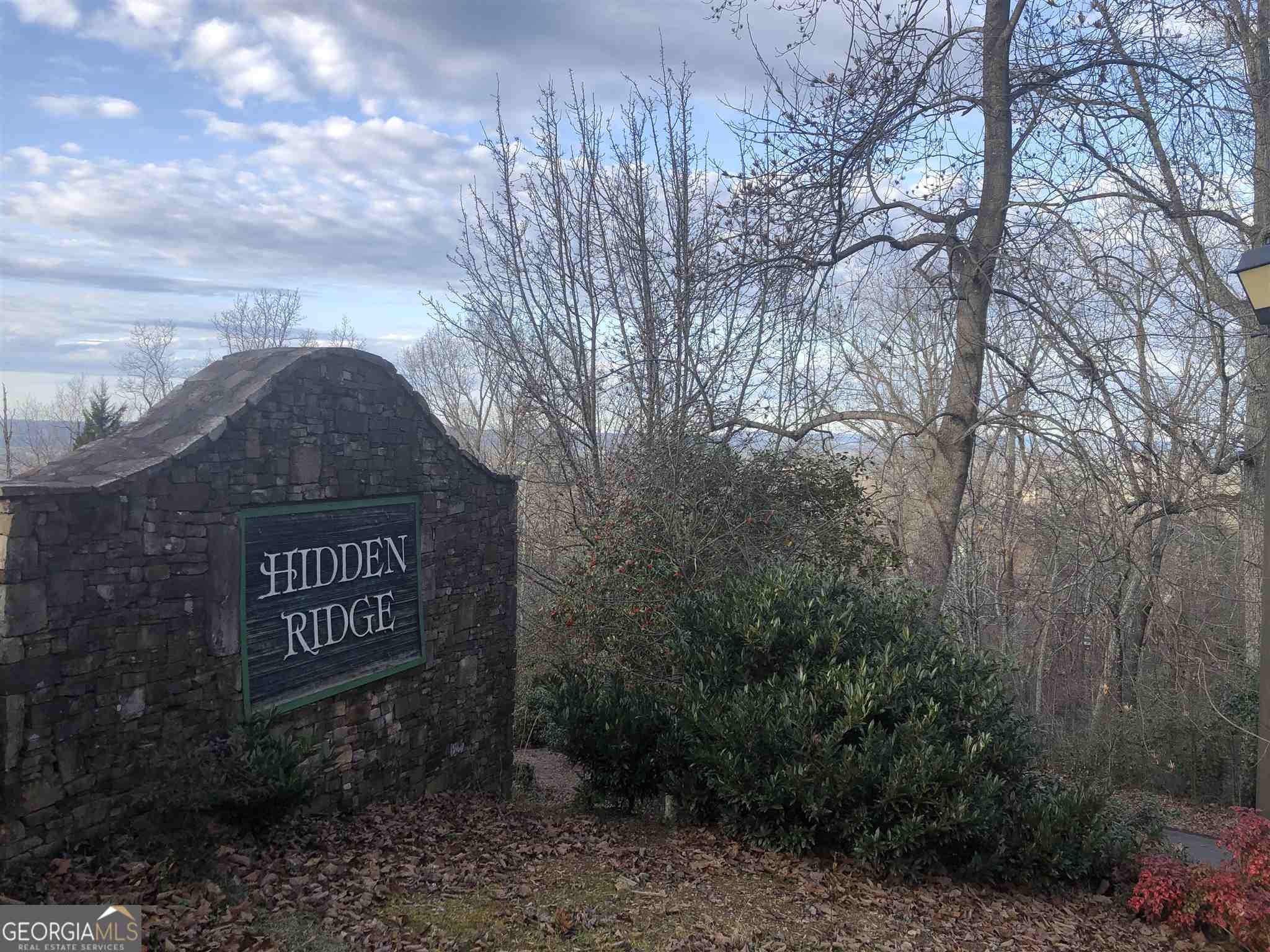0 Hidden Ridge Drive Property Photo 1