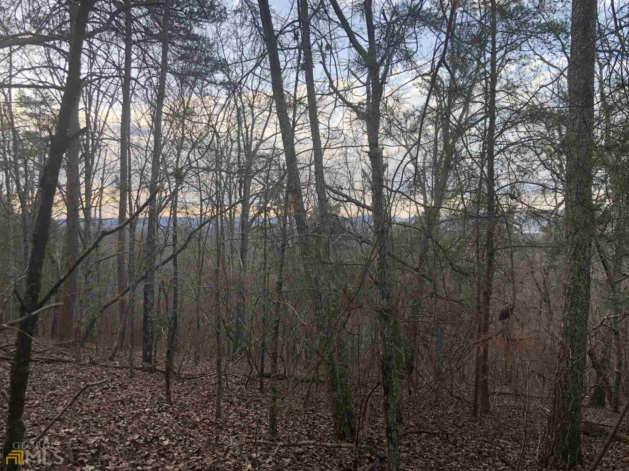 0 Hidden Ridge Drive Property Photo 7