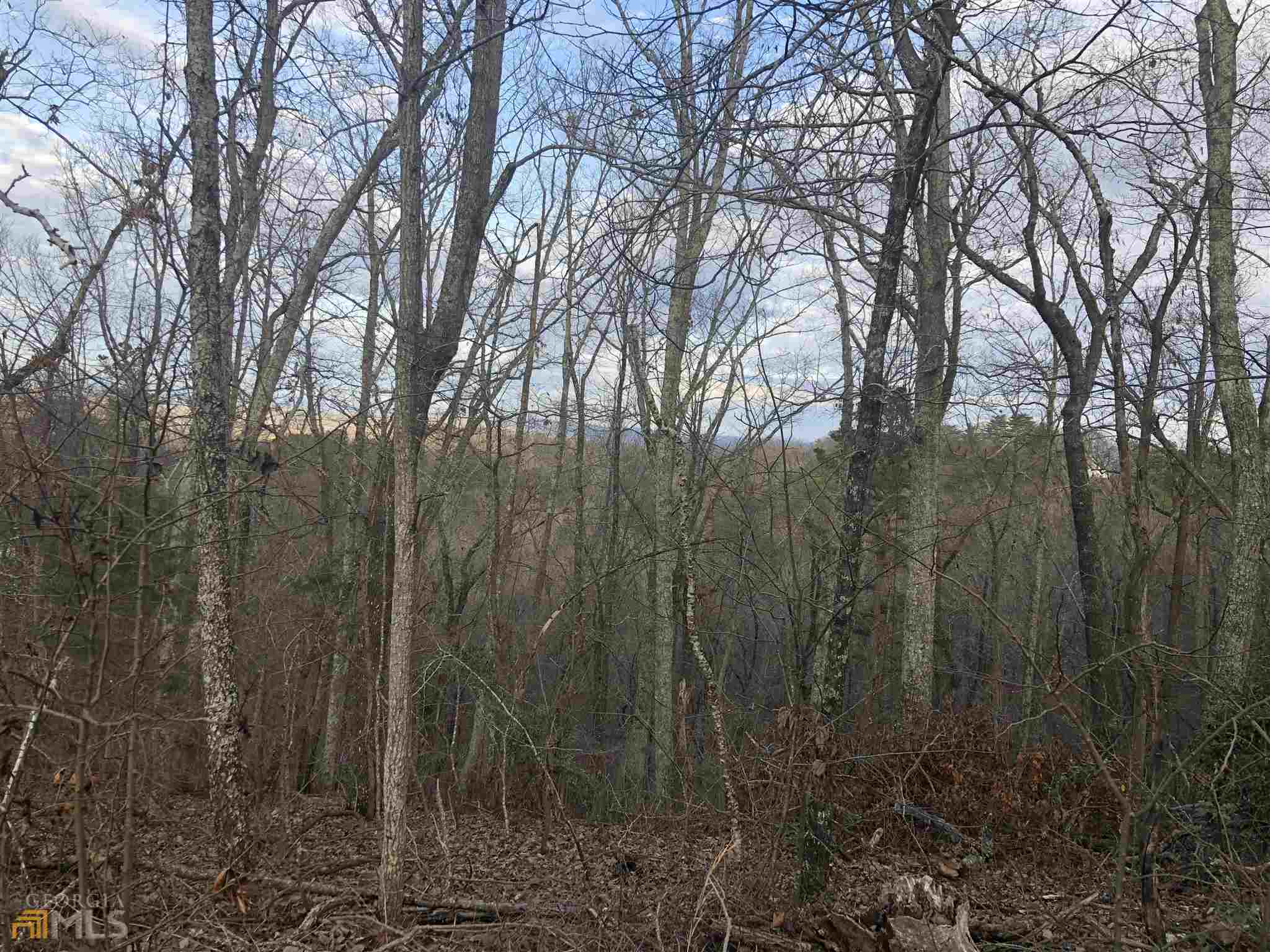 0 Hidden Ridge Drive Property Photo 6