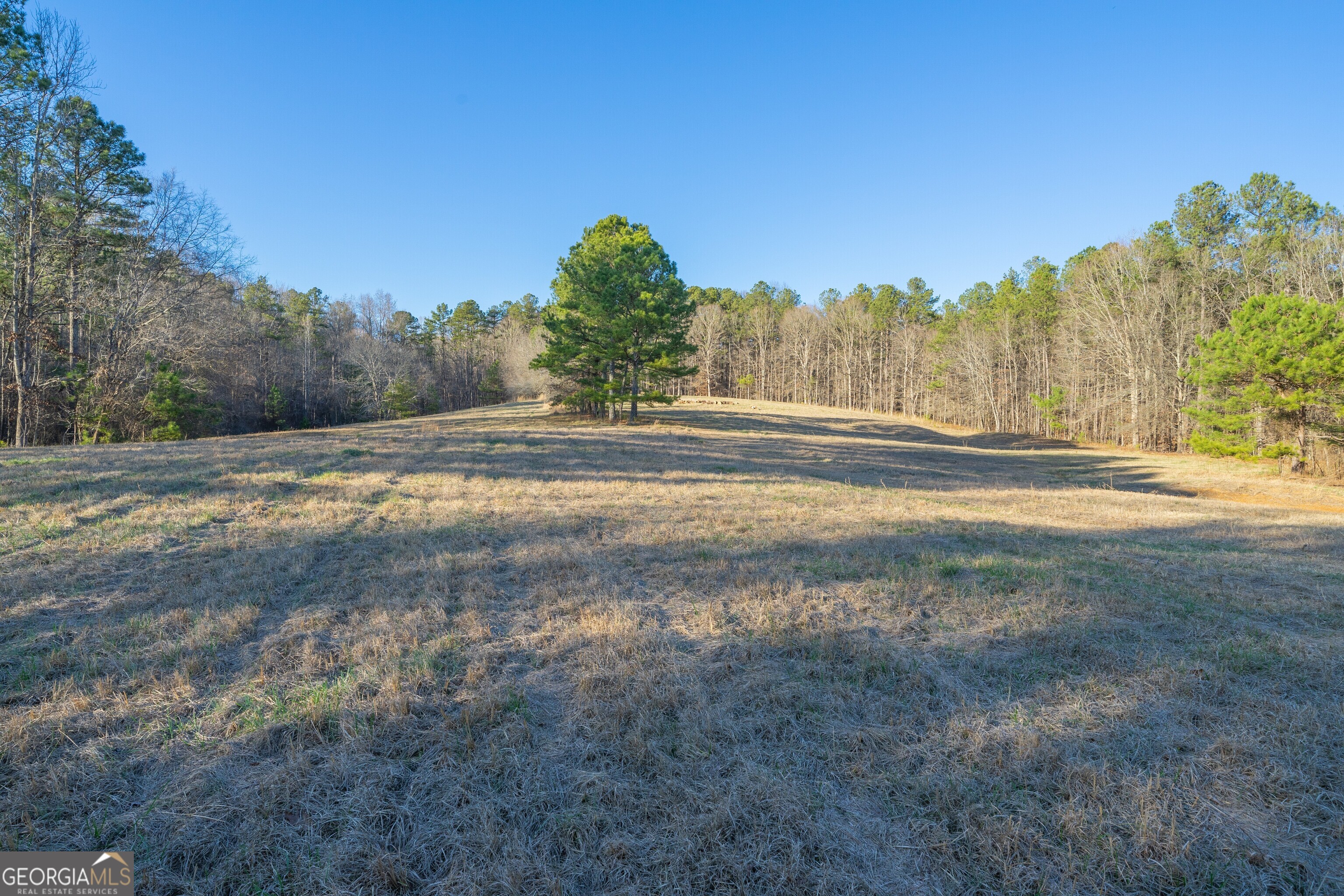 2000 Dabbs Bridge Road Property Photo 1