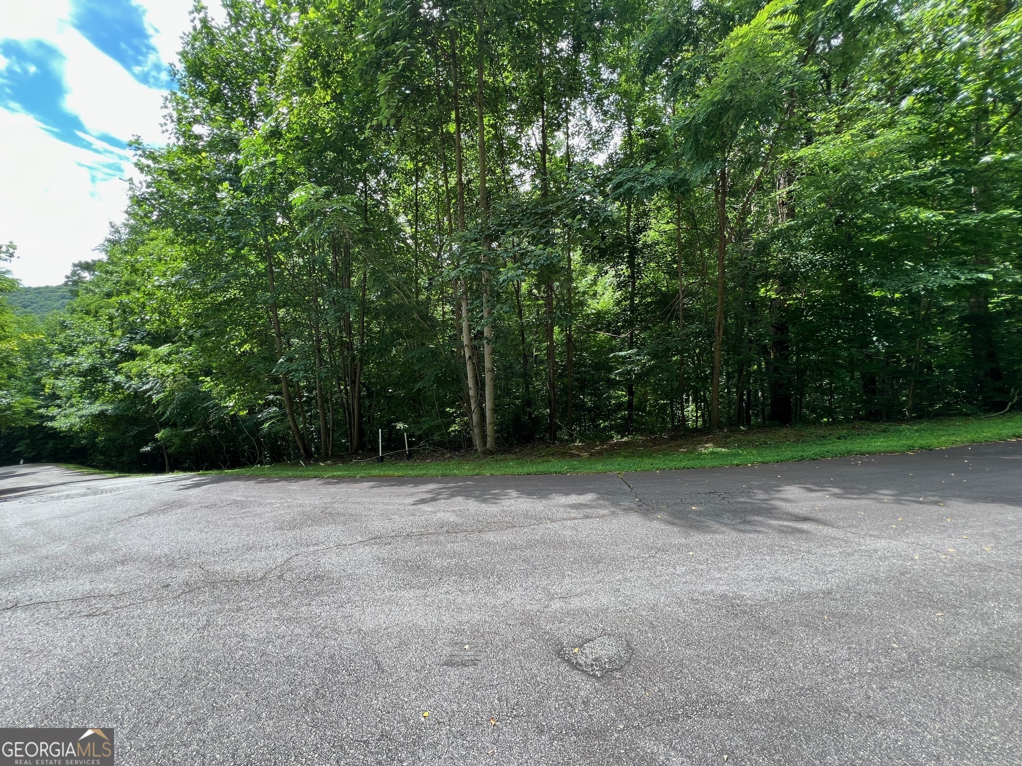 0 Overlook Drive Property Photo 1