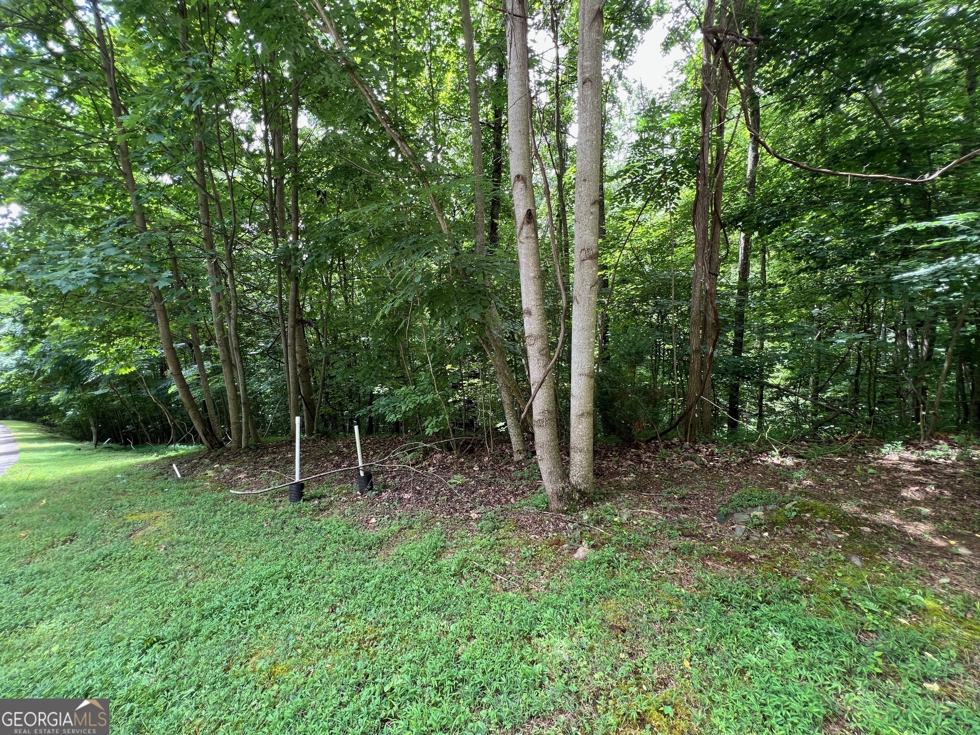 0 Overlook Drive Property Photo 5