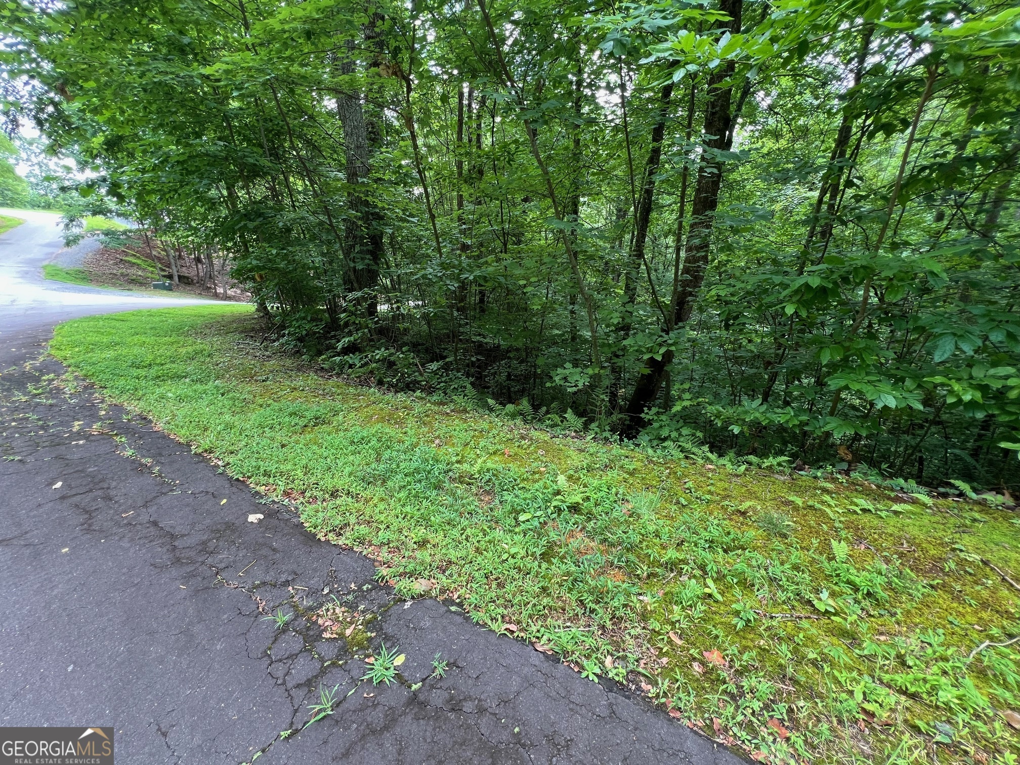 0 Overlook Drive Property Photo 8