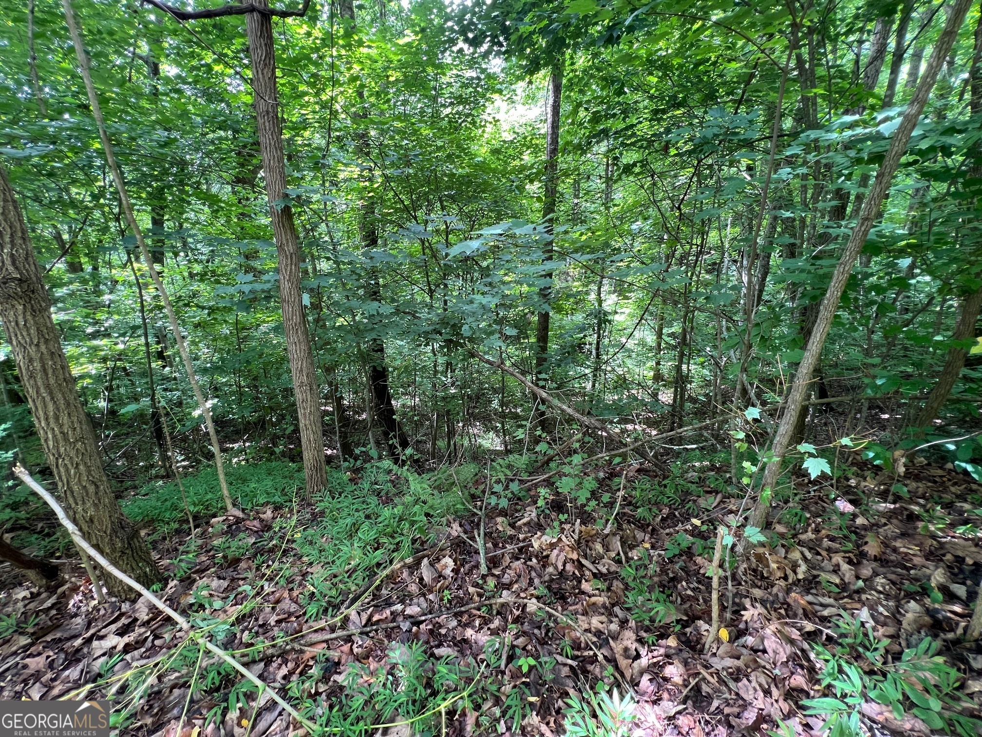 0 Overlook Drive Property Photo 9