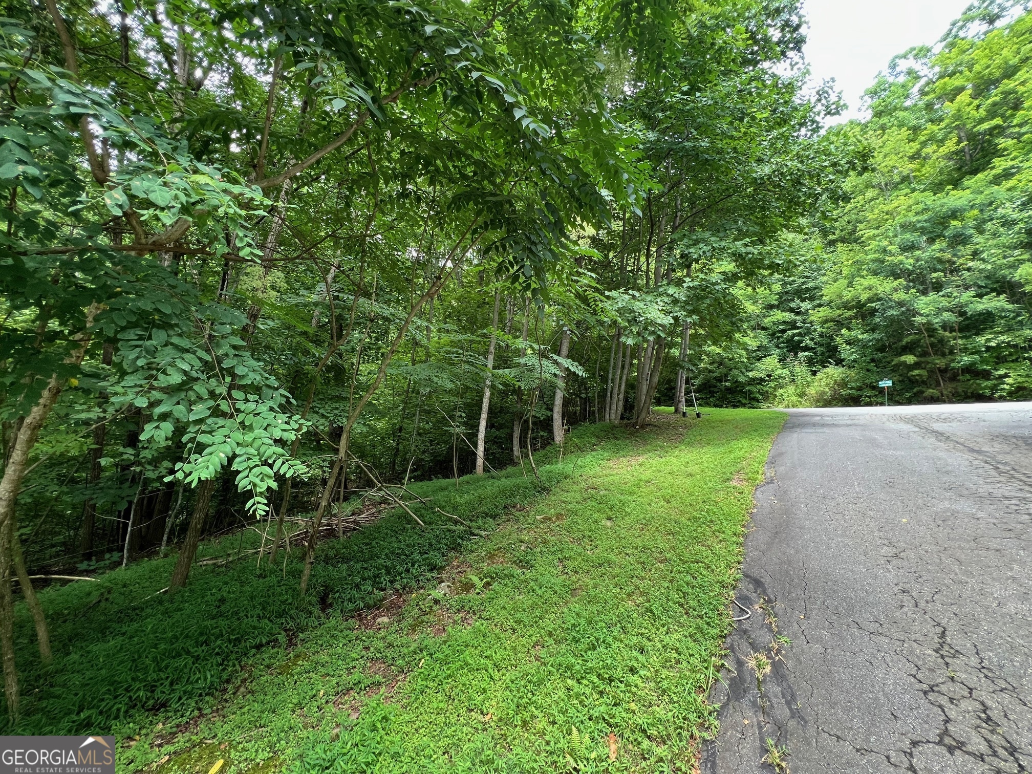 0 Overlook Drive Property Photo 12