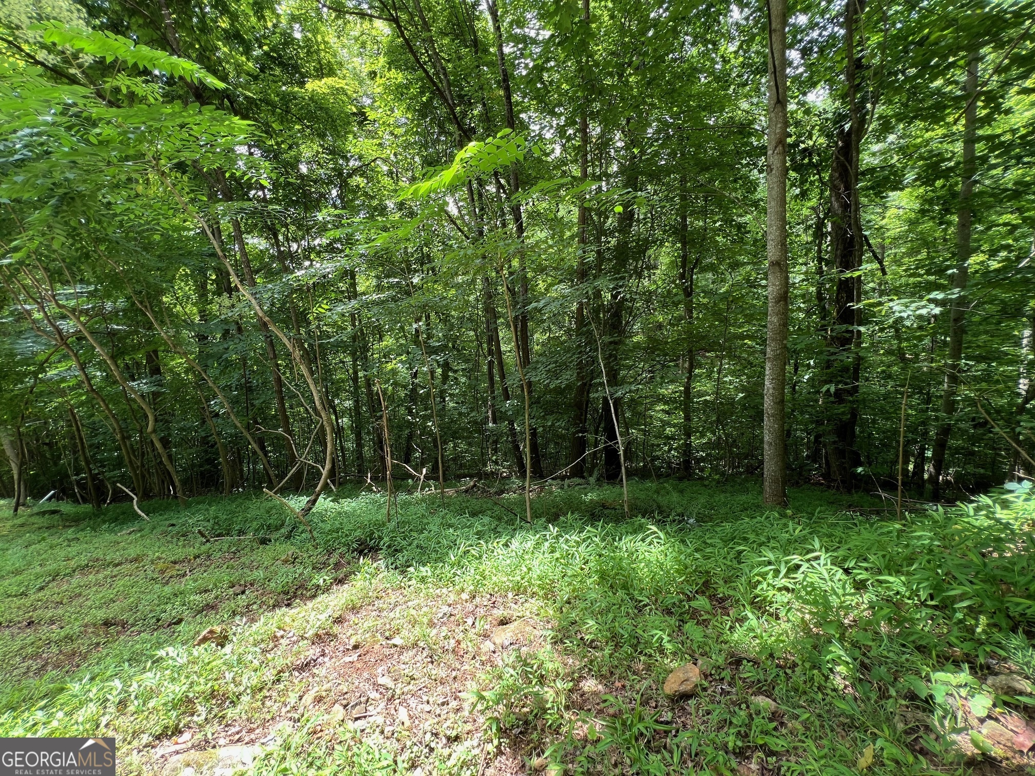 0 Overlook Drive Property Photo 13