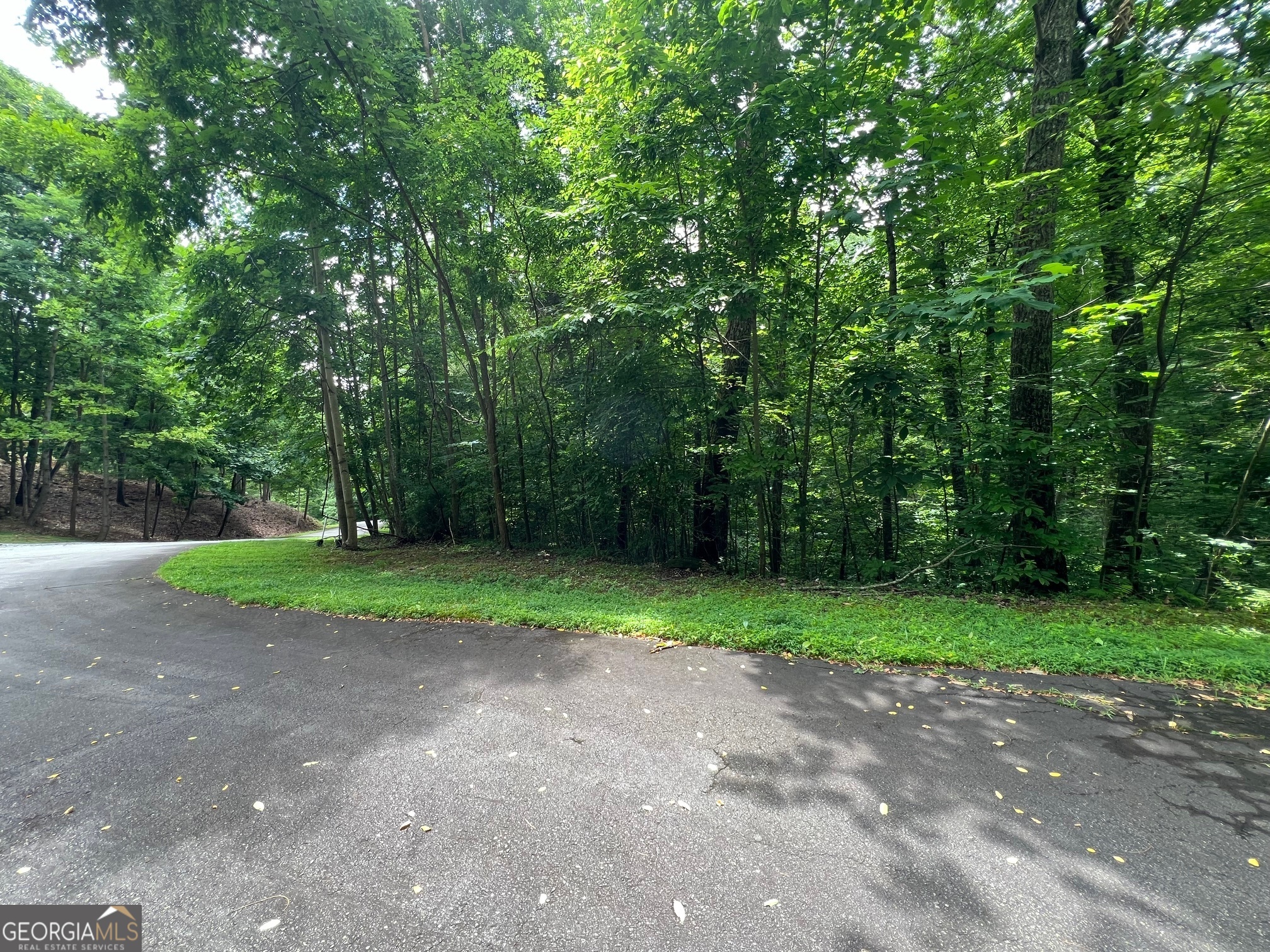 0 Overlook Drive Property Photo 14
