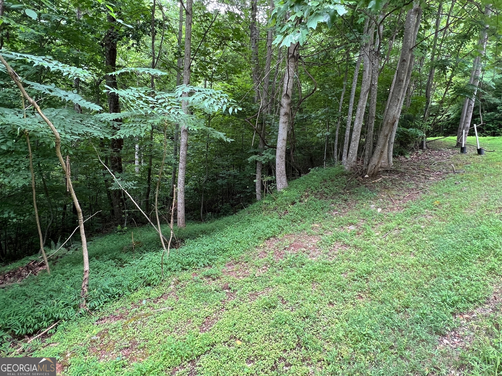 0 Overlook Drive Property Photo 15