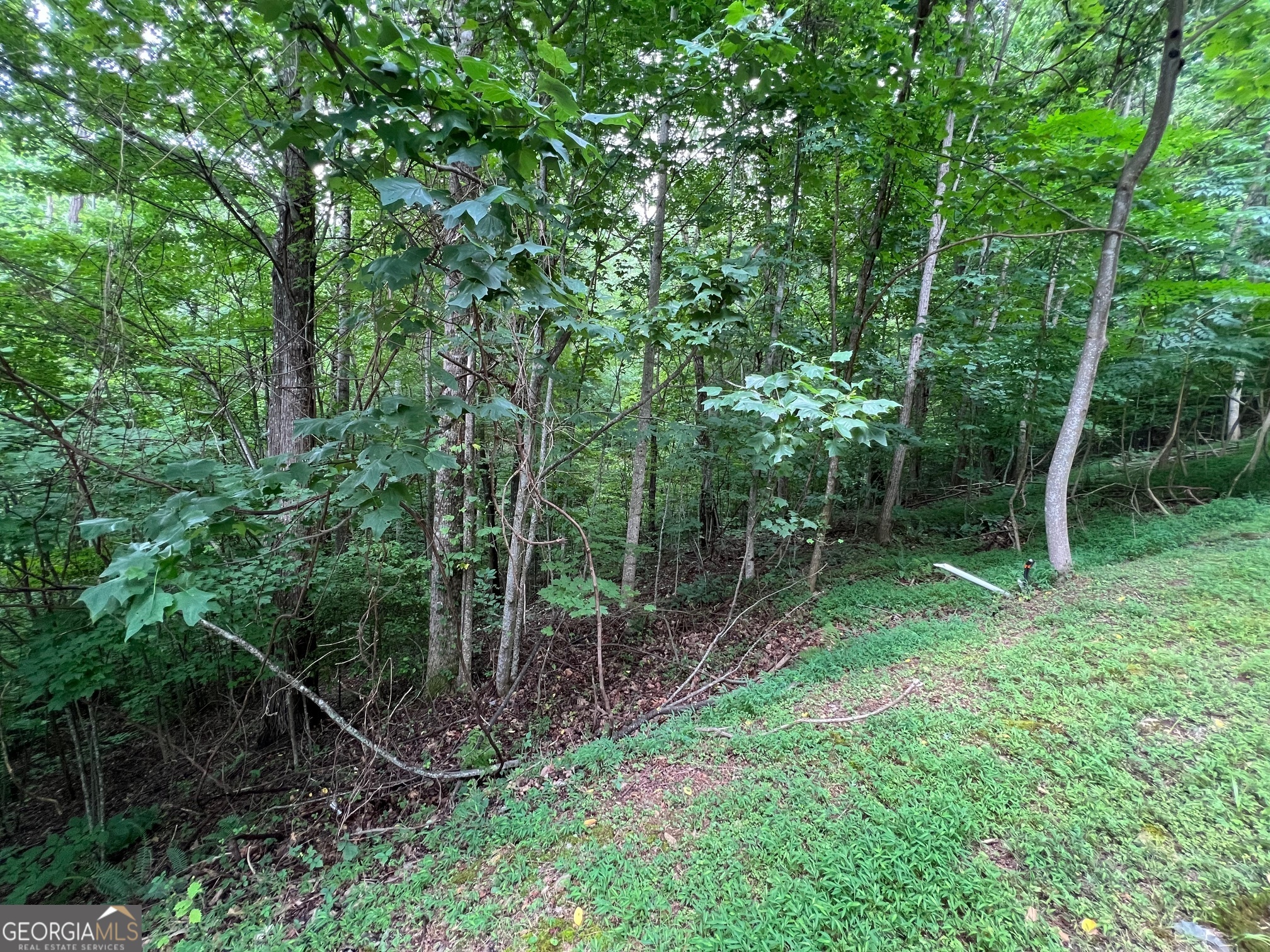 0 Overlook Drive Property Photo 16