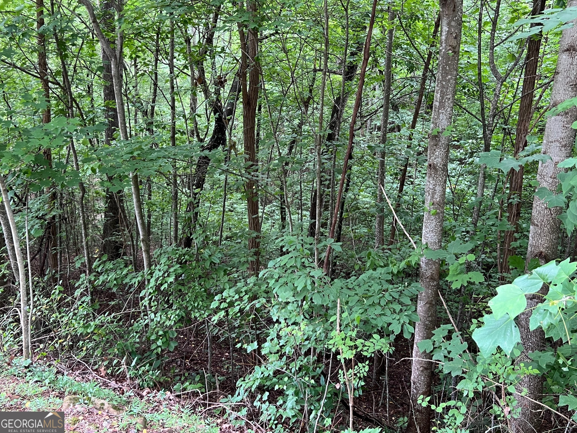 0 Overlook Drive Property Photo 17
