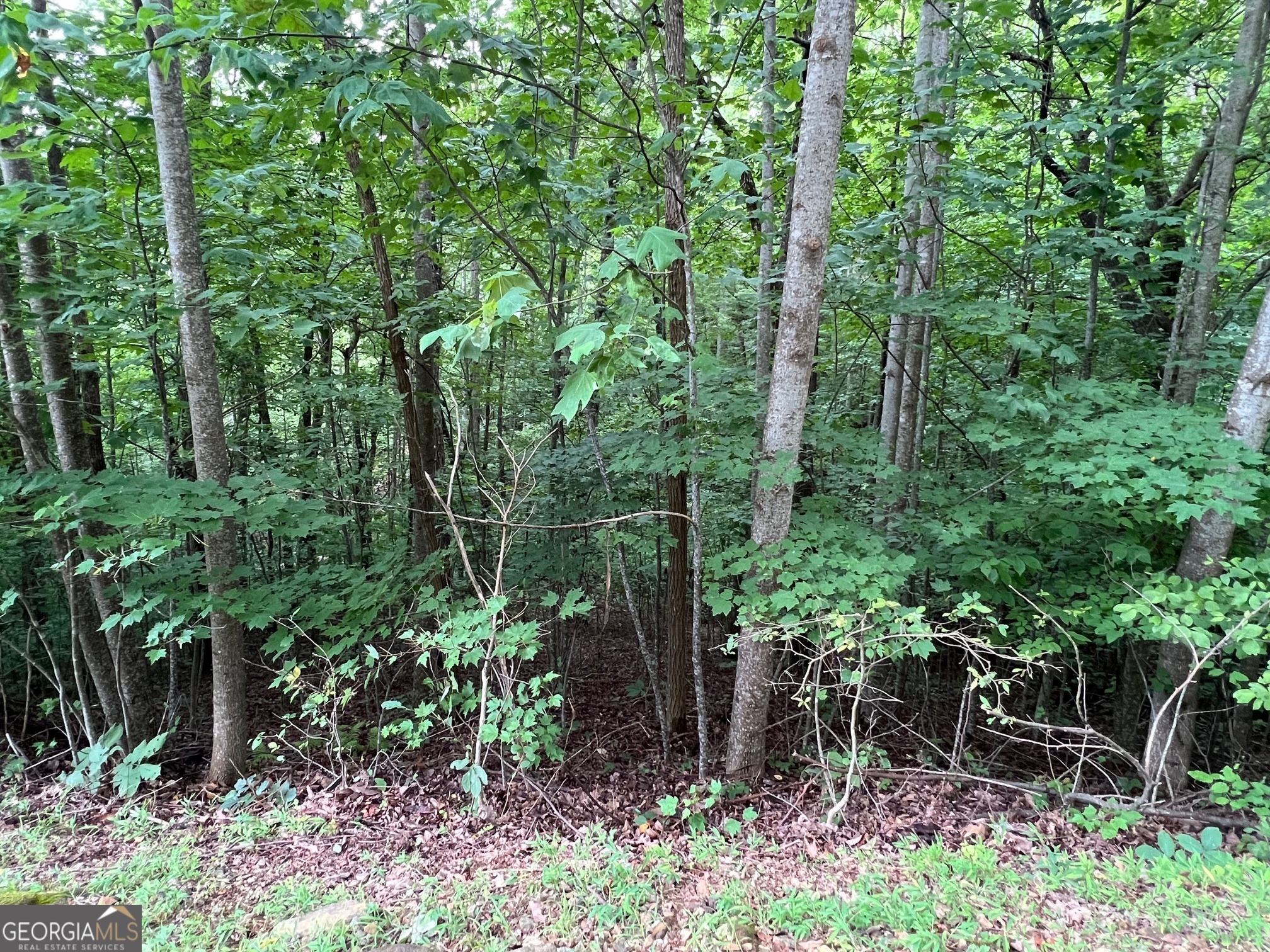 0 Overlook Drive Property Photo 18