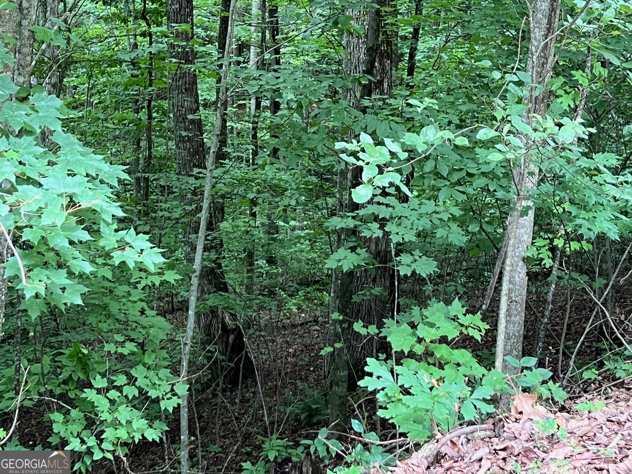 0 Overlook Drive Property Photo 19