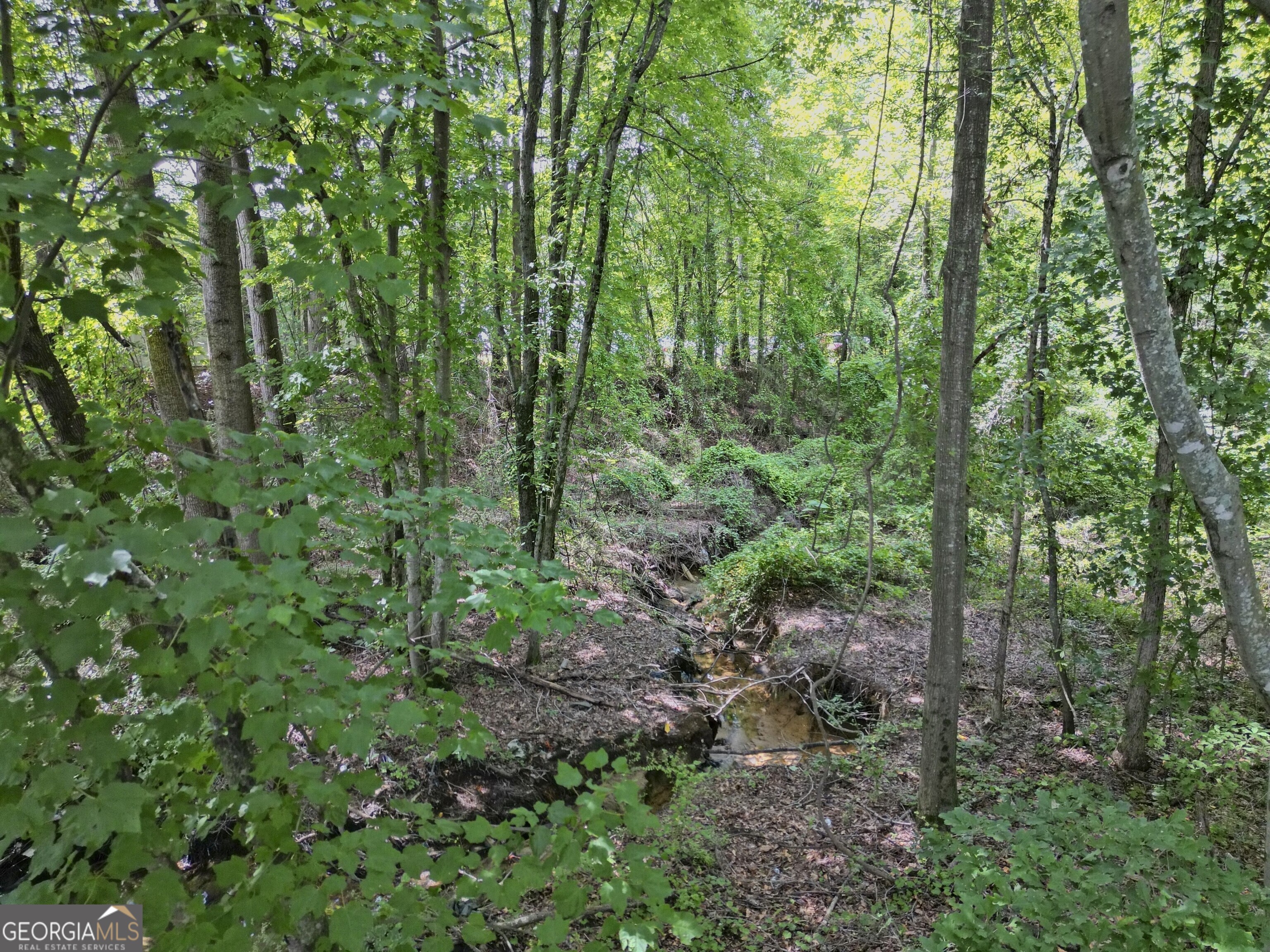 2095 Sigman Road Nw Property Photo 5